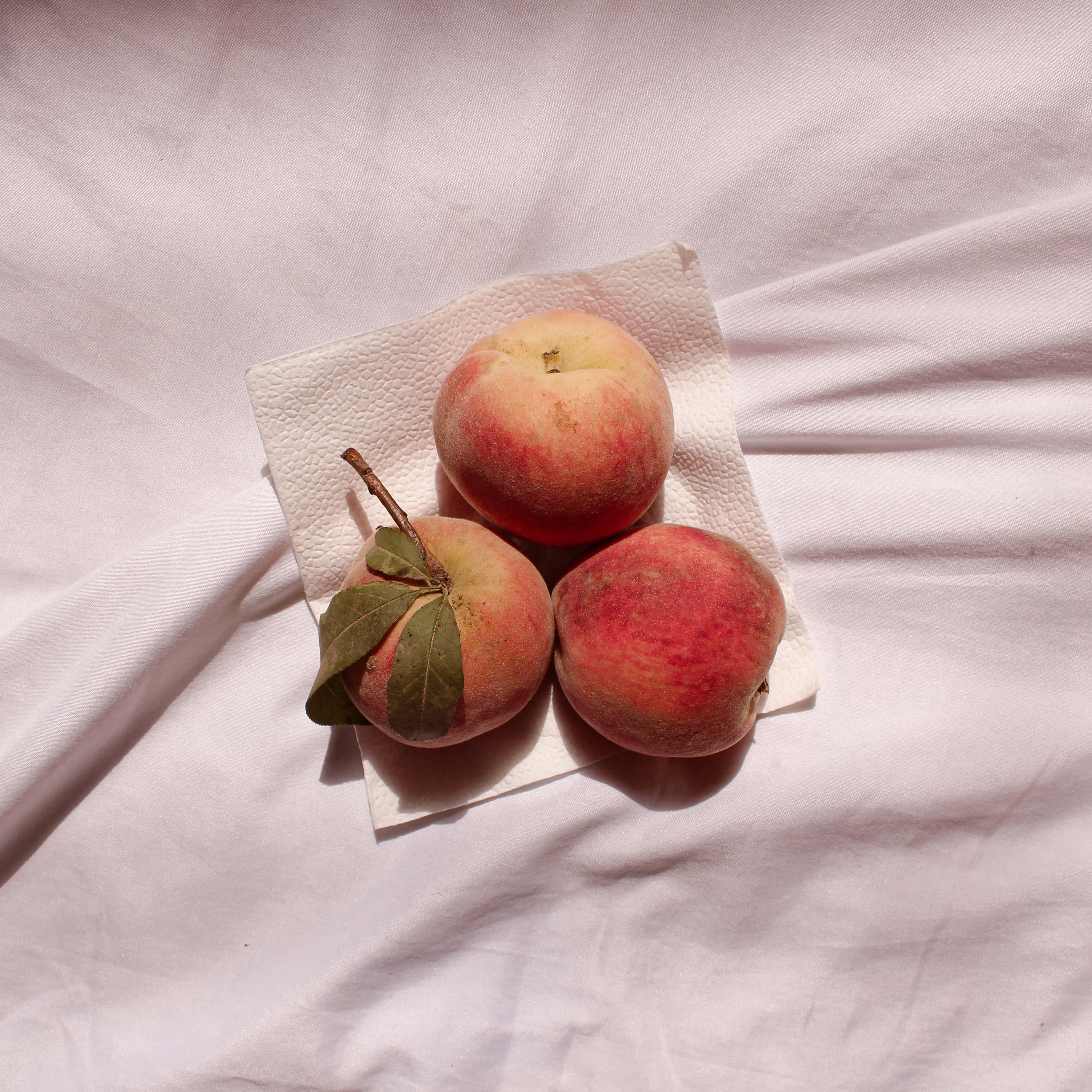 Peaches 桌布 壁紙 — 三個成熟的桃子連同一片葉子，在柔和陽光下放在一張皺褶的白色床單上的紙巾上。