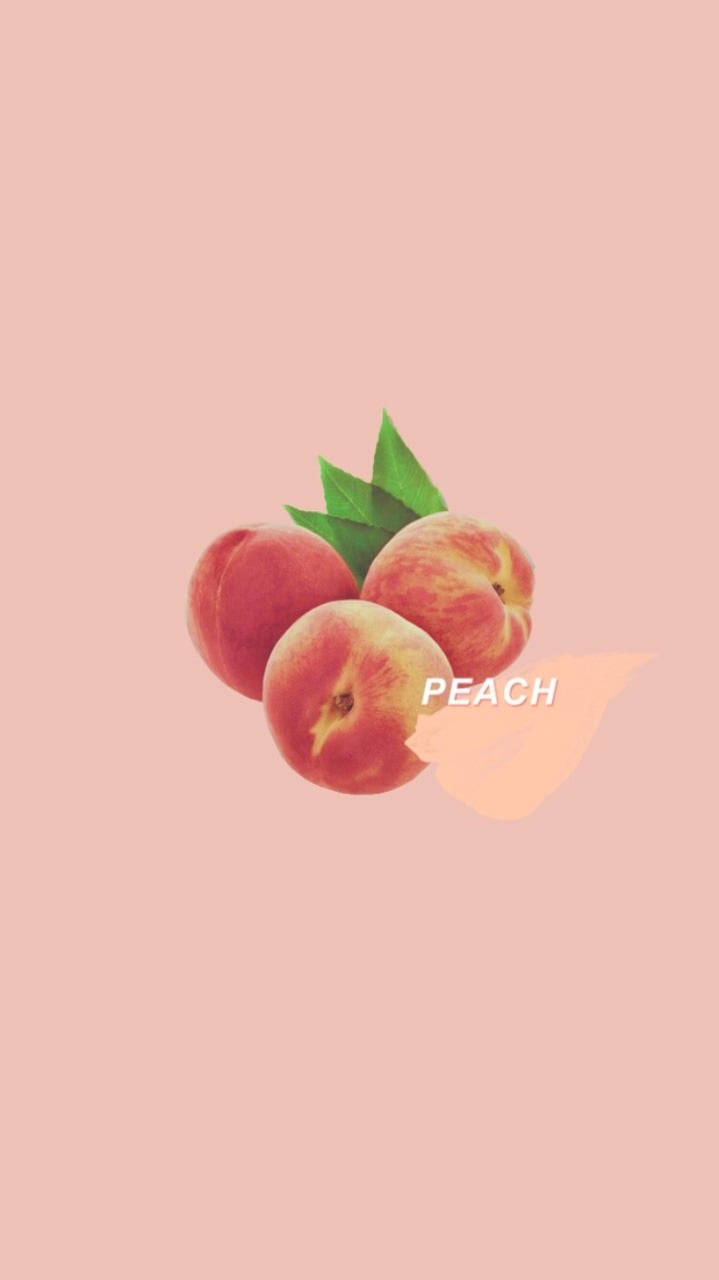 iPhone 桌布 壁紙 — 三個成熟的桃子配綠葉，放在柔和的粉紅色背景上，並微妙地疊加了peach字樣。