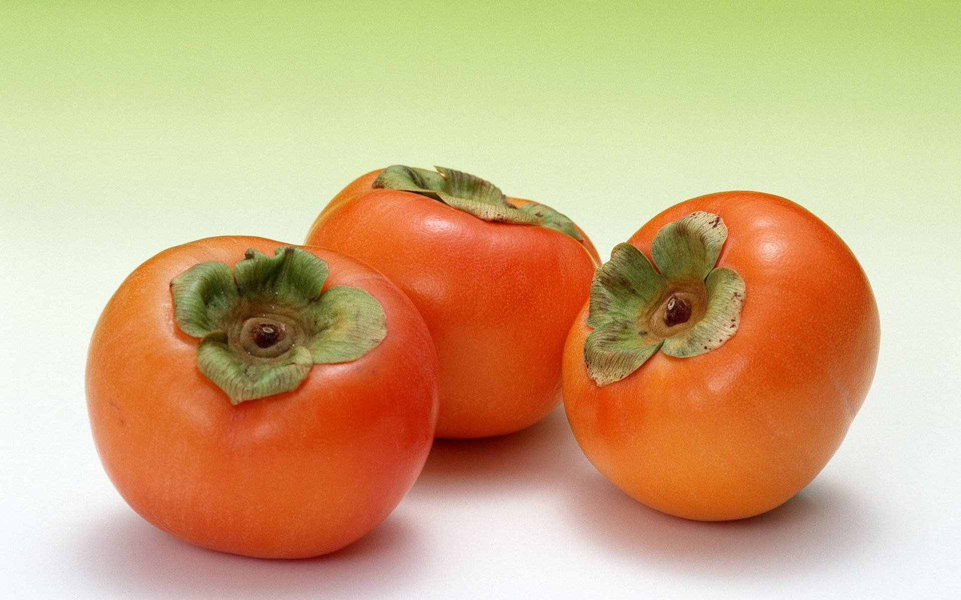 Fruit 桌布 壁紙 — 三個成熟的橙色柿子，帶有綠色葉狀蒂，放在柔和的漸變背景上。