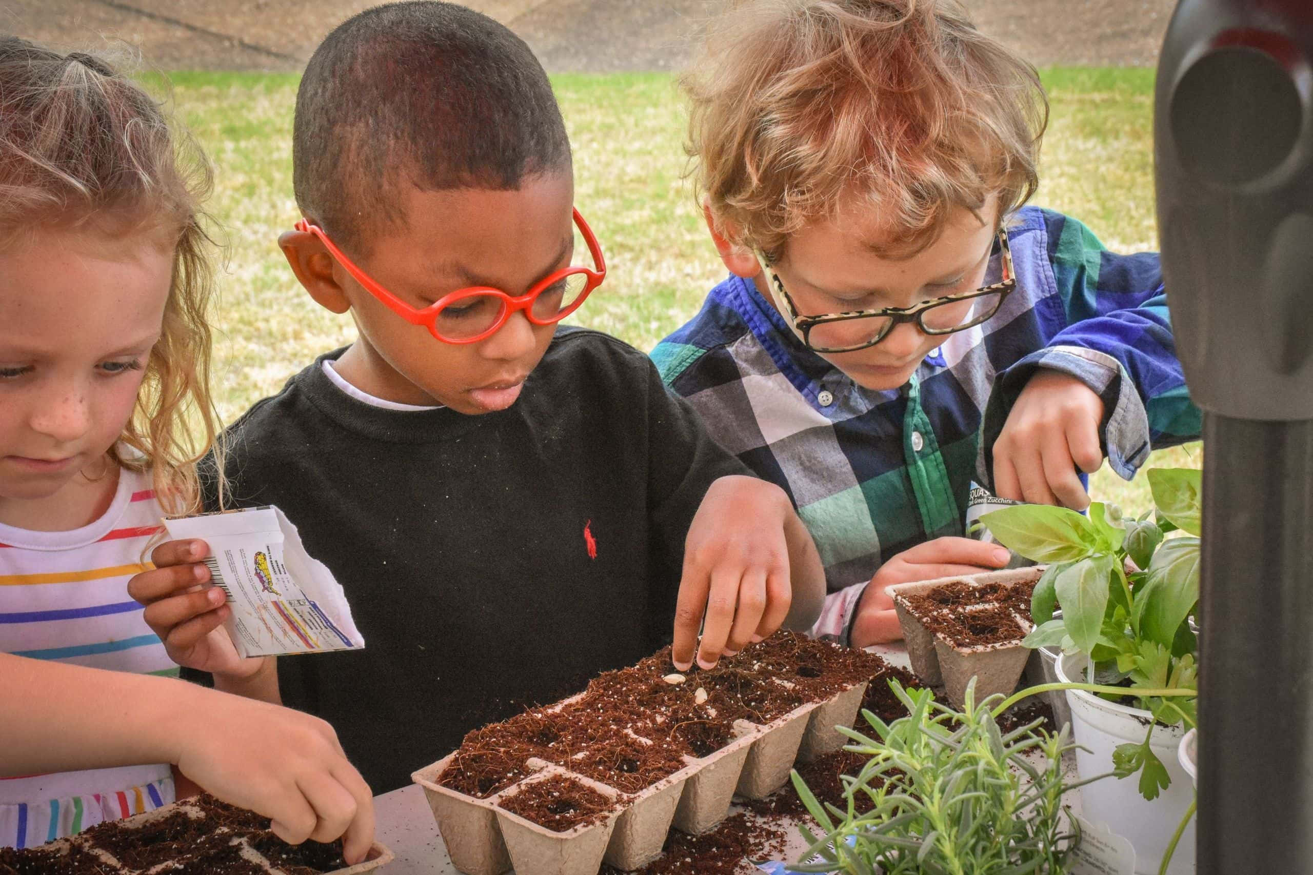 Gardening 桌布 壁紙 — 三個戴眼鏡的孩子在戶外草地上小心地將種子種入可生物降解的托盤中。