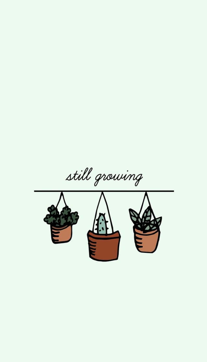 Plant 桌布 壁紙 — 三個插圖式懸掛盆栽植物，上方中央有「still growing」字句，背景為淡薄荷色。