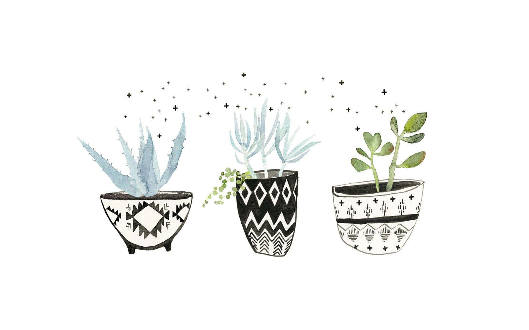 Plant Aesthetic 桌布 壁紙 — 三個插圖盆栽多肉植物，放在幾何黑白花盆中，上方有星狀縷縷飄浮。