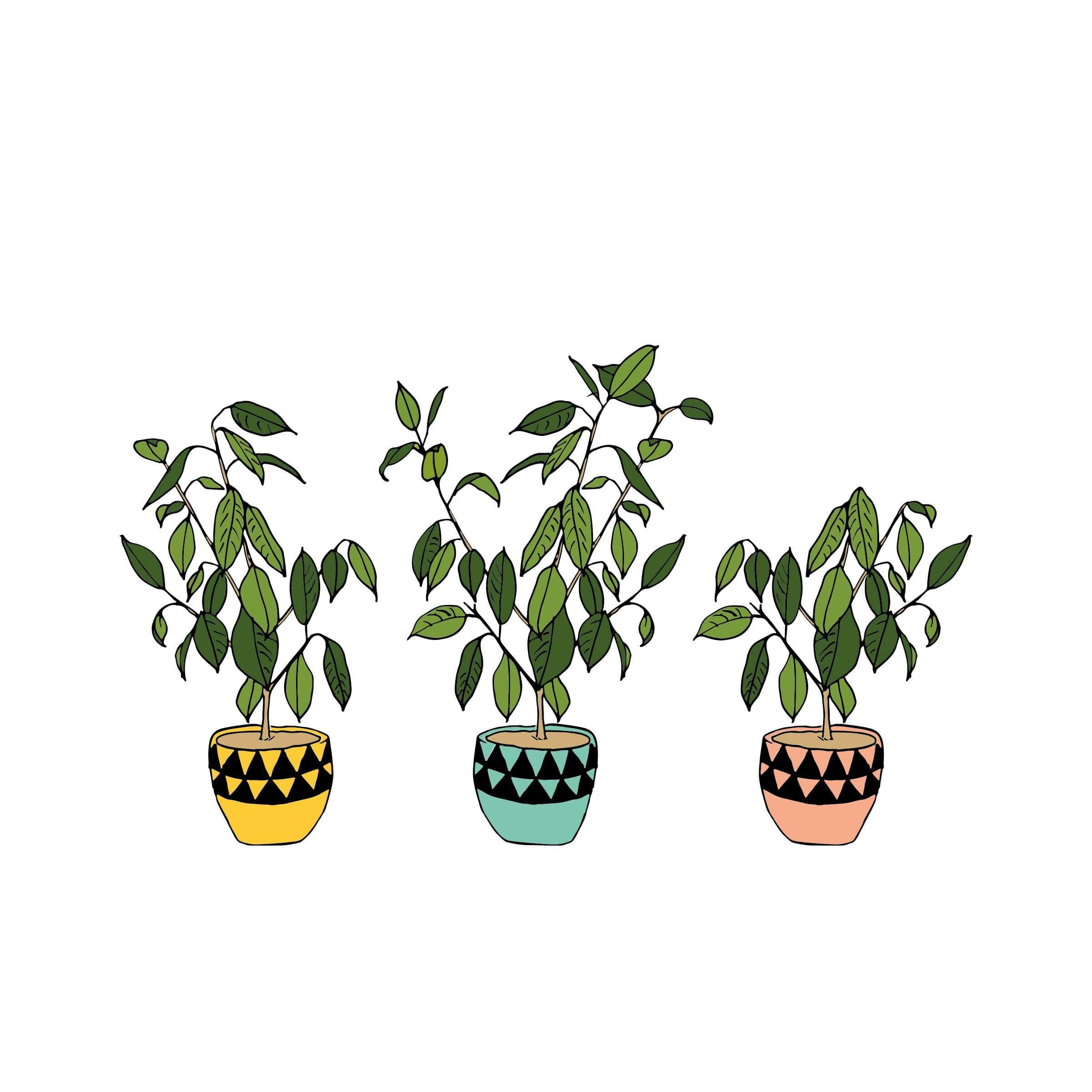 Plant Aesthetic 桌布 壁紙 — 三個插圖盆栽植物，有綠色葉子和幾何圖案的花盆，顏色為黃色、藍綠色和桃色，背景為白色。