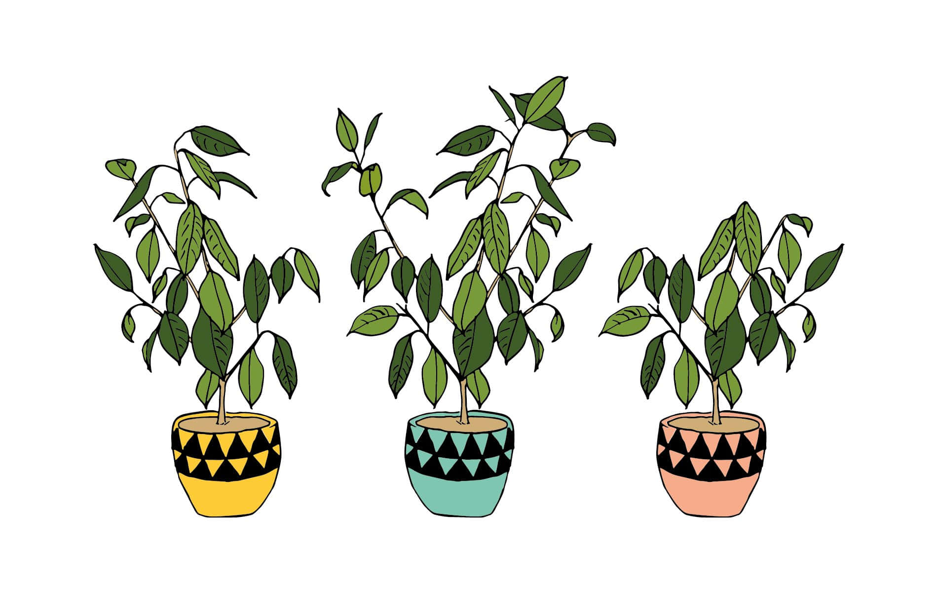 鼠尾草綠美學 桌布 壁紙 — 三個插圖盆栽植物，配有黃色、藍綠色和蜜桃色的幾何圖案花盆，背景為白色。