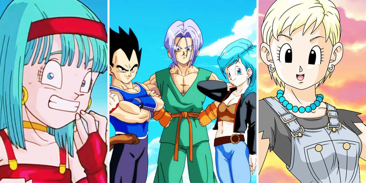 Vegeta's Family 桌布 壁紙 — 三個擁有鮮豔頭髮和表情豐富面孔的動漫角色，站在明亮的天空背景下。