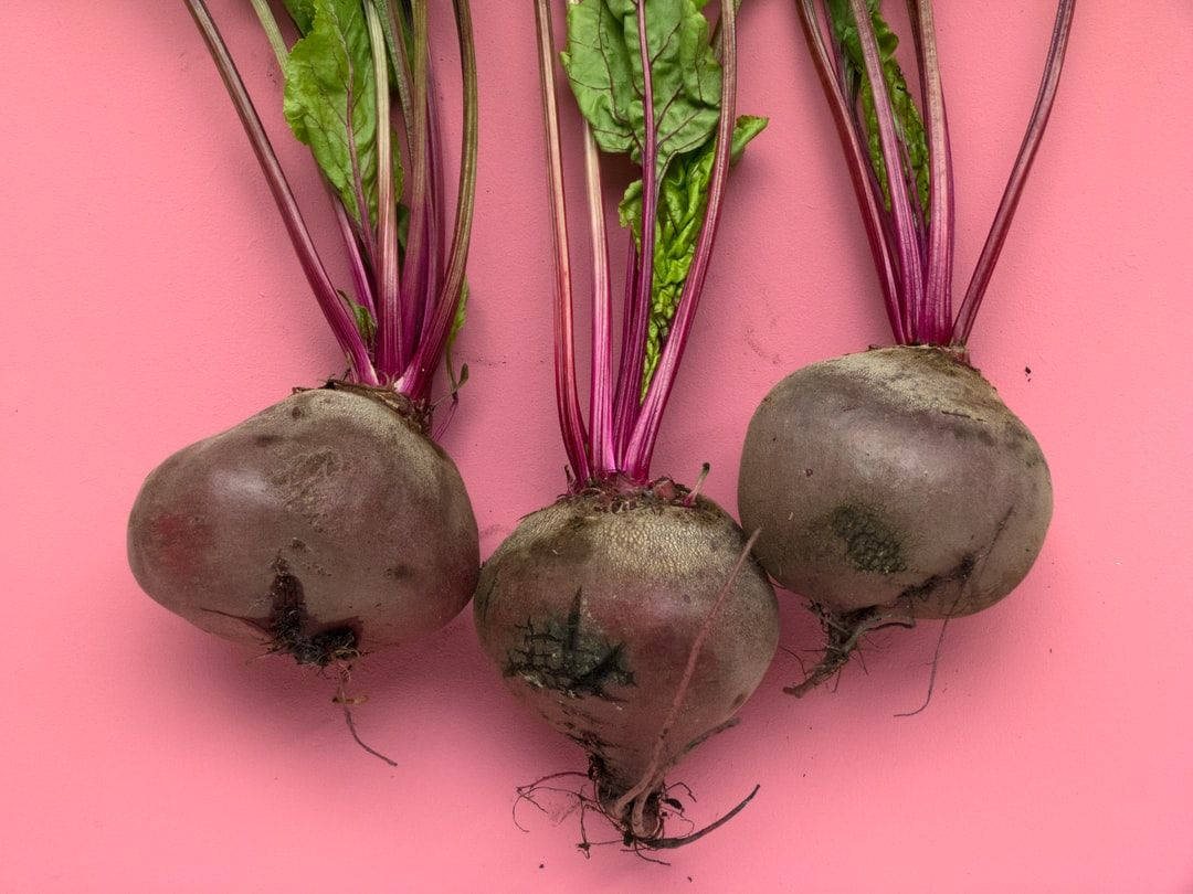 beetroot 桌布 壁紙 — 三個新鮮的甜菜根，帶有綠色葉子和紫色莖，放在充滿活力的粉紅色背景上。