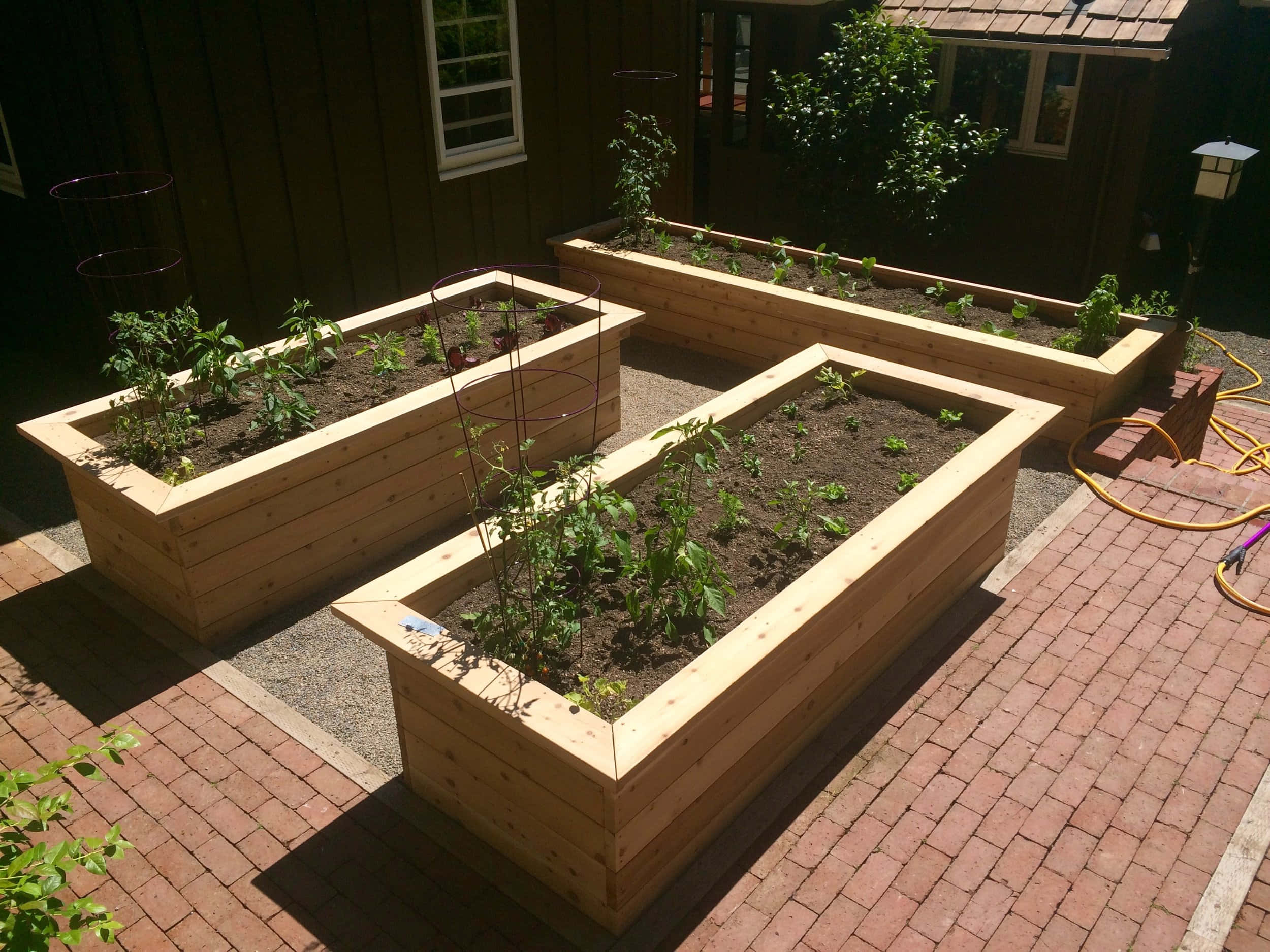 Garden Bed 桌布 壁紙 — 三個木製高架花圃，種滿了年輕的綠色植物，放在紅磚庭院上，陽光普照。