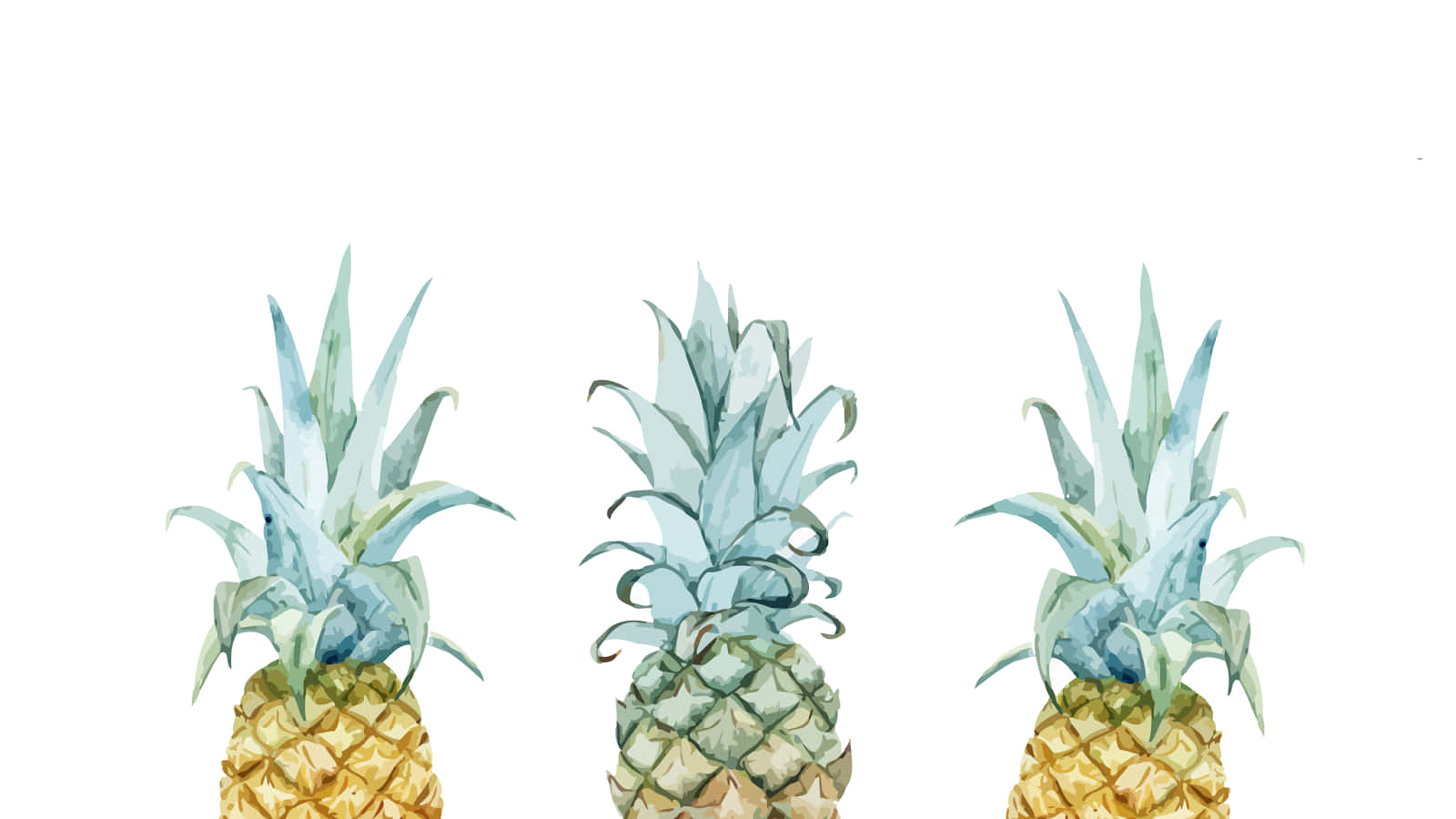 Pineapple Desktop 桌布 壁紙 — 三個水彩鳳梨，金色身體，青綠色尖刺皇冠，立在純白背景上。
