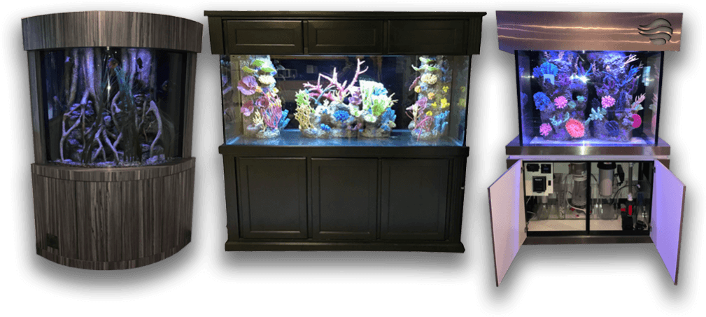水族箱 桌布 壁紙 — 三個水族箱在黑色背景下，在彩色燈光下展示充滿活力的珊瑚礁和水生植物。