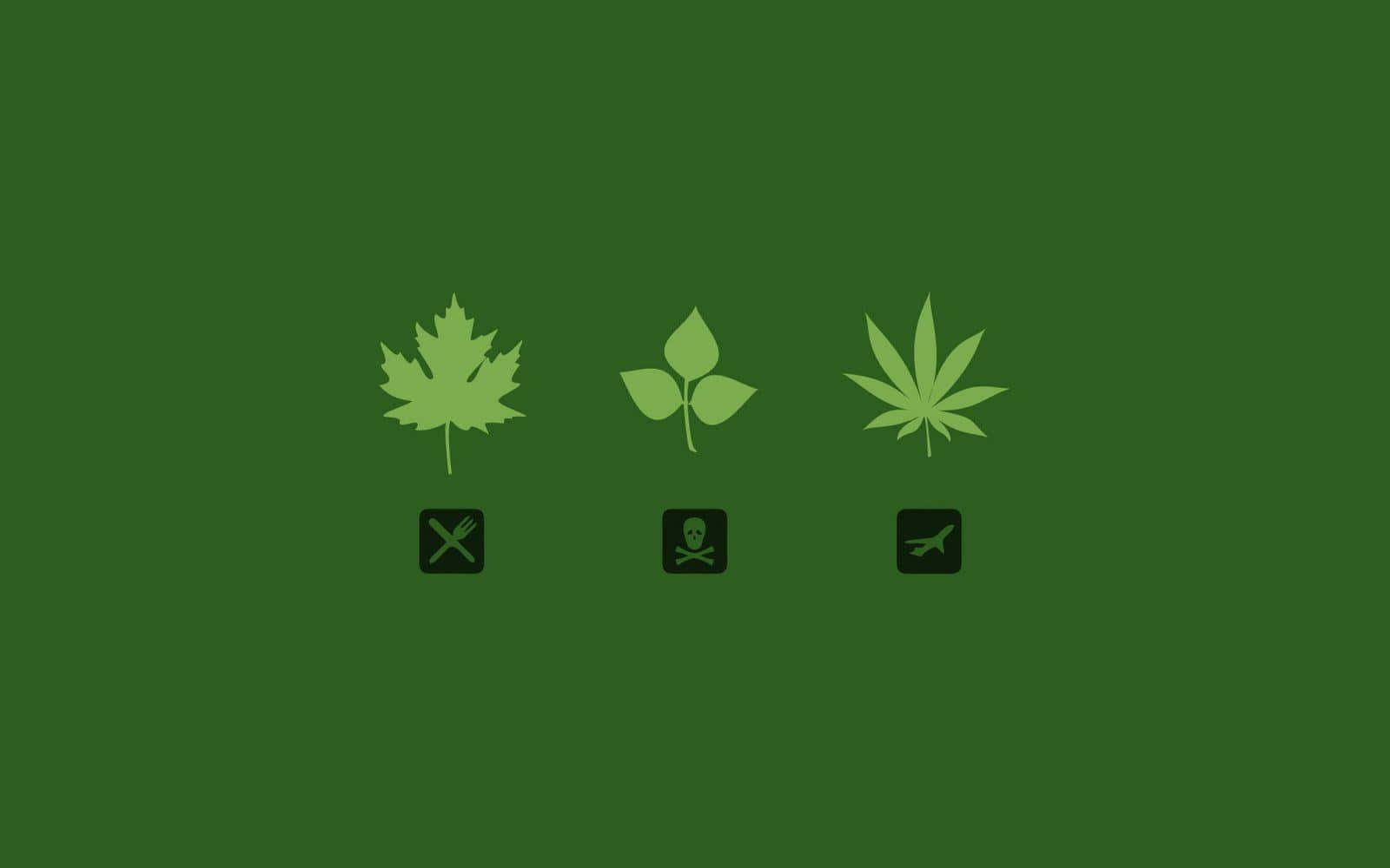 大麻 桌布 壁紙 — 三個淺綠色葉子圖示在深綠色背景上，每個下方有一個黑色符號
