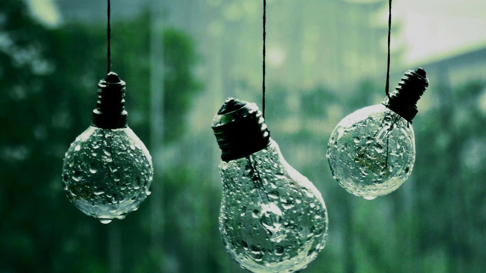 Aesthetic Rain 桌布 壁紙 — 三個玻璃燈泡懸掛在雨中，水滴依附在其表面，背景是模糊的綠色。