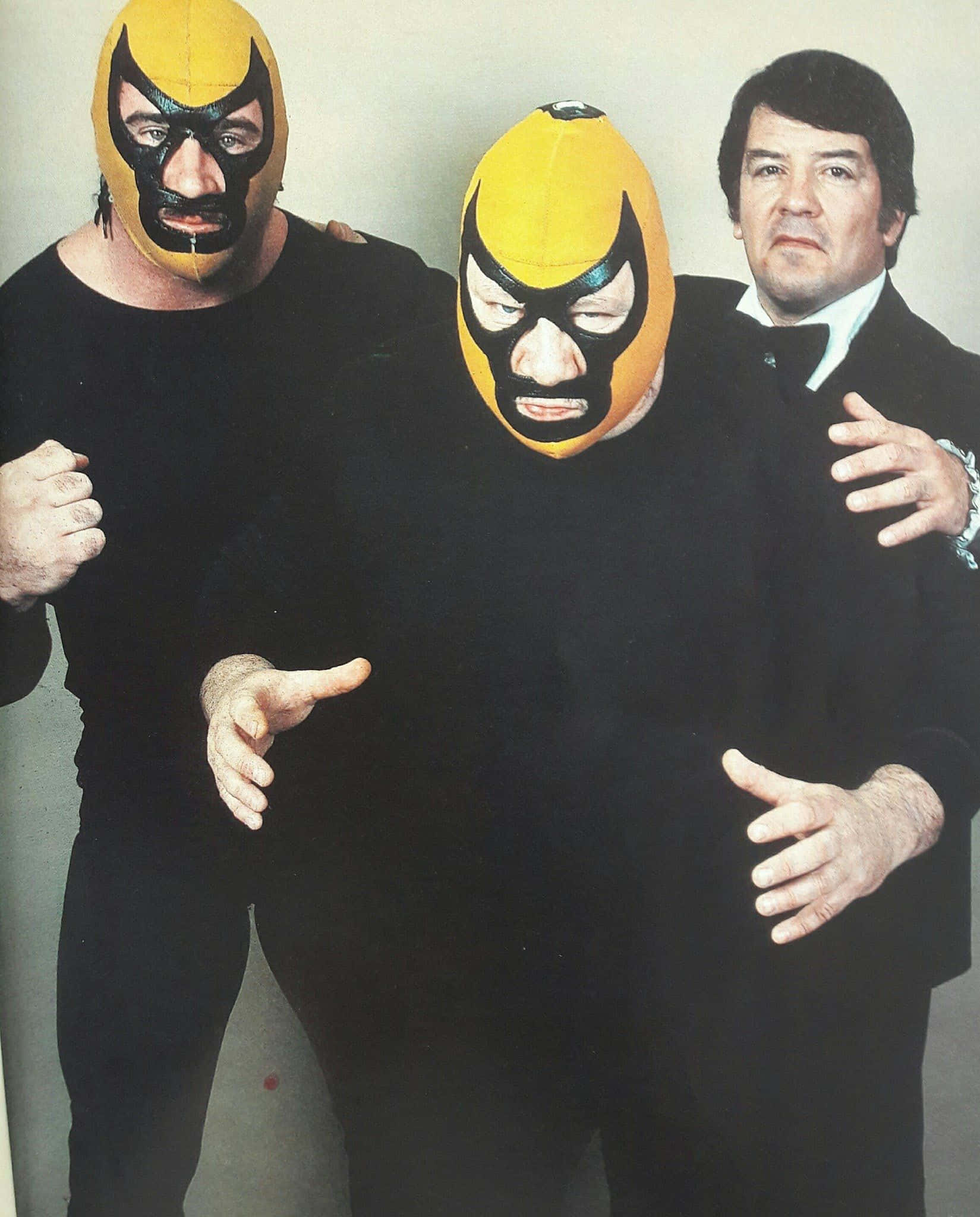 WWE 桌布 壁紙 — 三個男人一起擺姿勢，兩個戴著黃色和黑色的 lucha libre 面具，一個穿著西裝，背景是素色牆壁。