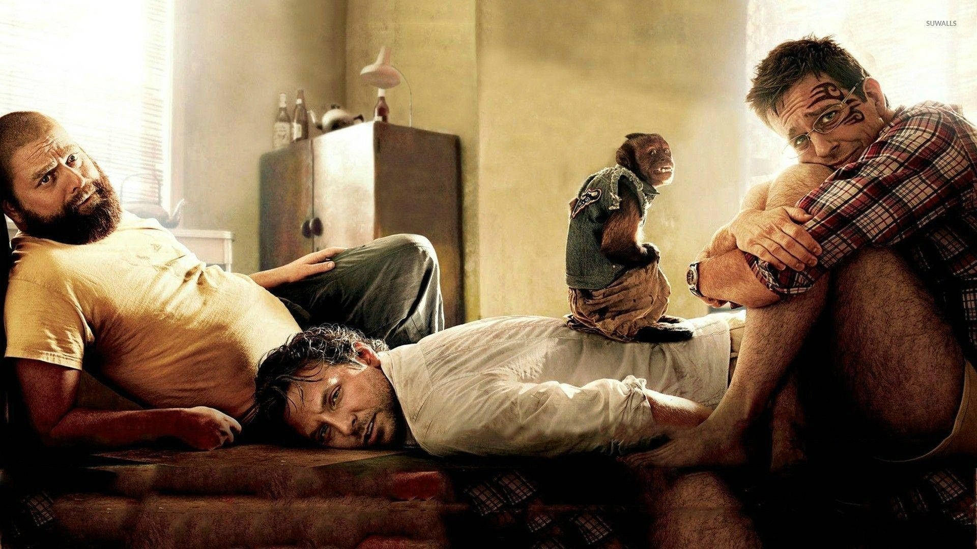 the hangover 桌布 壁紙 — 三個男人和一隻猴子在一個陽光普照、雜亂的房間裡放鬆，色調溫暖，表情自然。