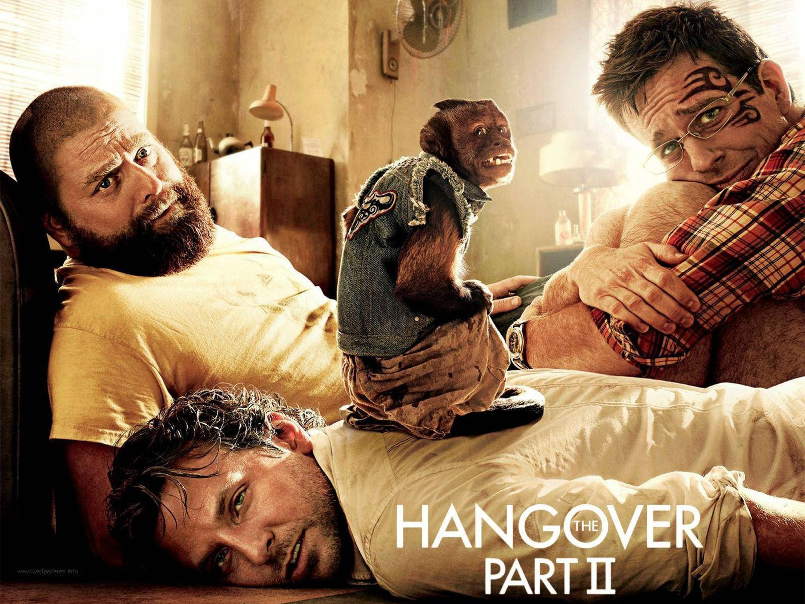 the hangover 桌布 壁紙 — 三個男人和一隻猴子在凌亂的房間裡，被明亮的窗戶光嚇了一跳。