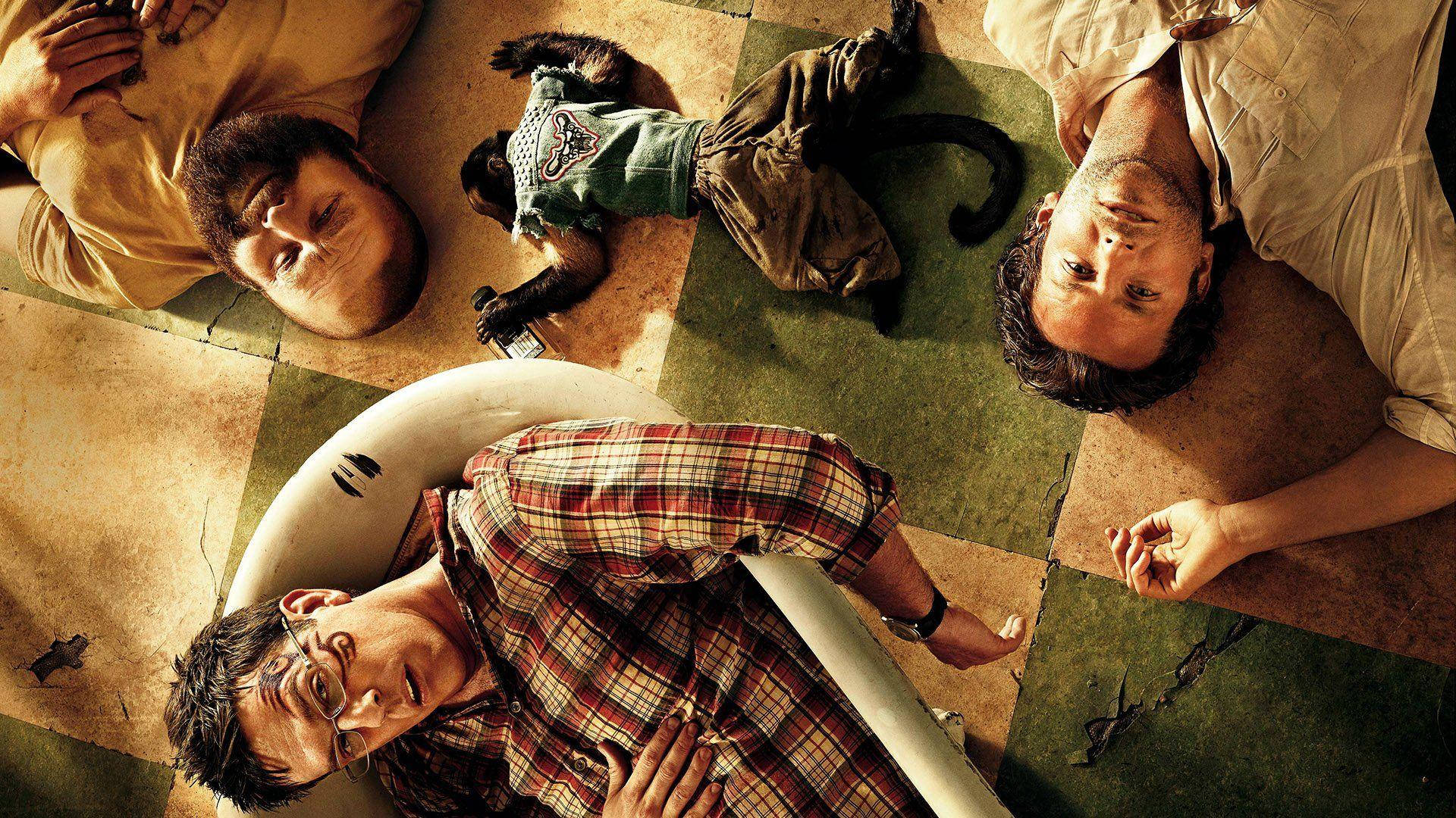 the hangover 桌布 壁紙 — 三個男人和一隻猴子躺在地板裂開的磁磚上，一動不動，以戲劇性的俯拍鏡頭拍攝。