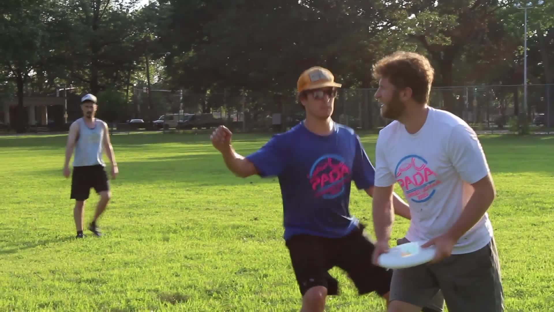Frisbee 桌布 壁紙 — 三個男人在陽光照耀的草地上玩飛盤，背景有樹木和籬笆。