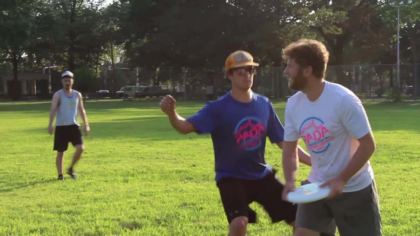 1366x768 Frisbee 桌布 壁紙 — 三個男人在陽光照耀的草地上玩飛盤，背景有樹木和籬笆。