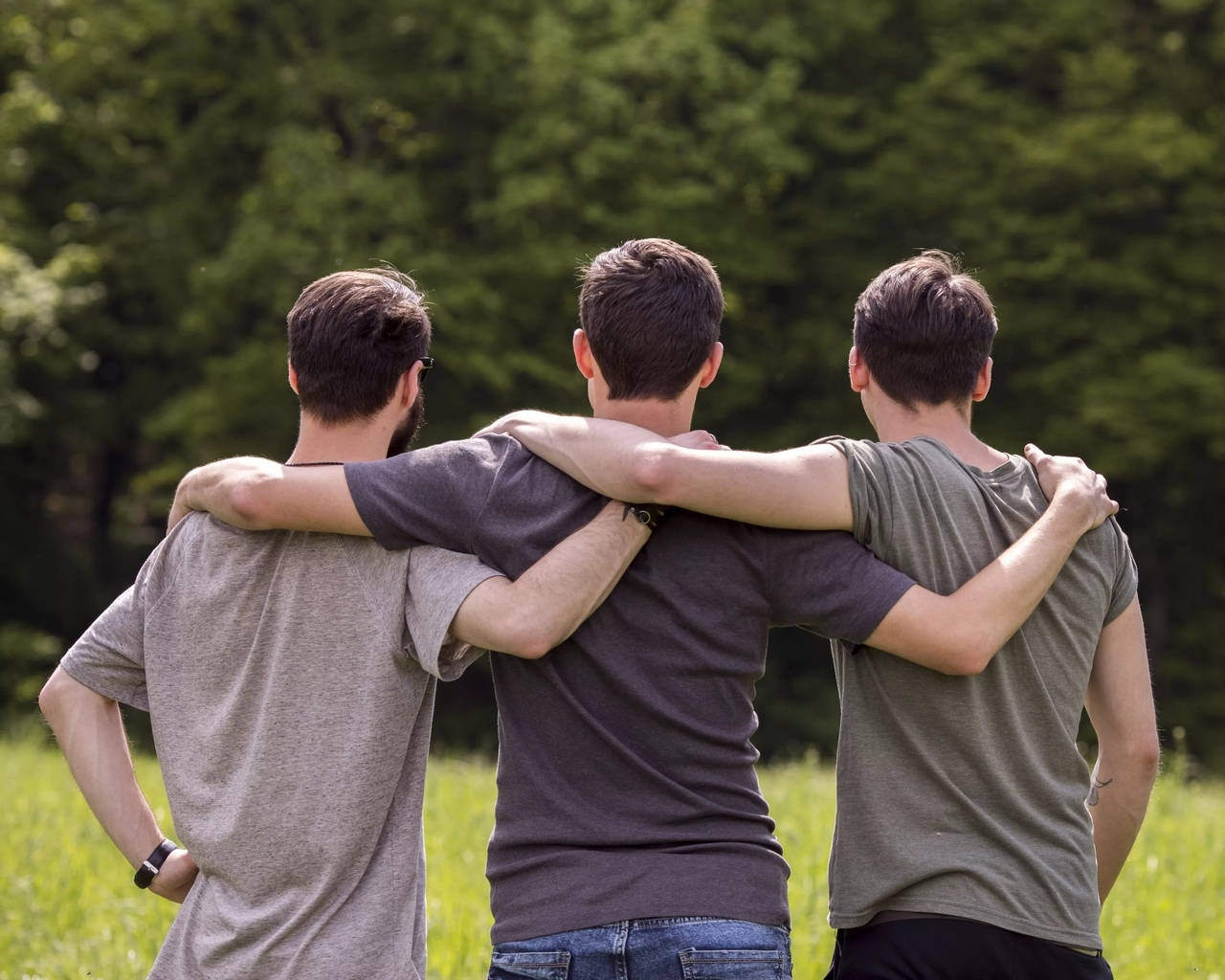 3 Best Friends 桌布 壁紙 — 三個男人背對背站在草地上，手臂搭在彼此的肩膀上，面向一片茂密的綠色森林。