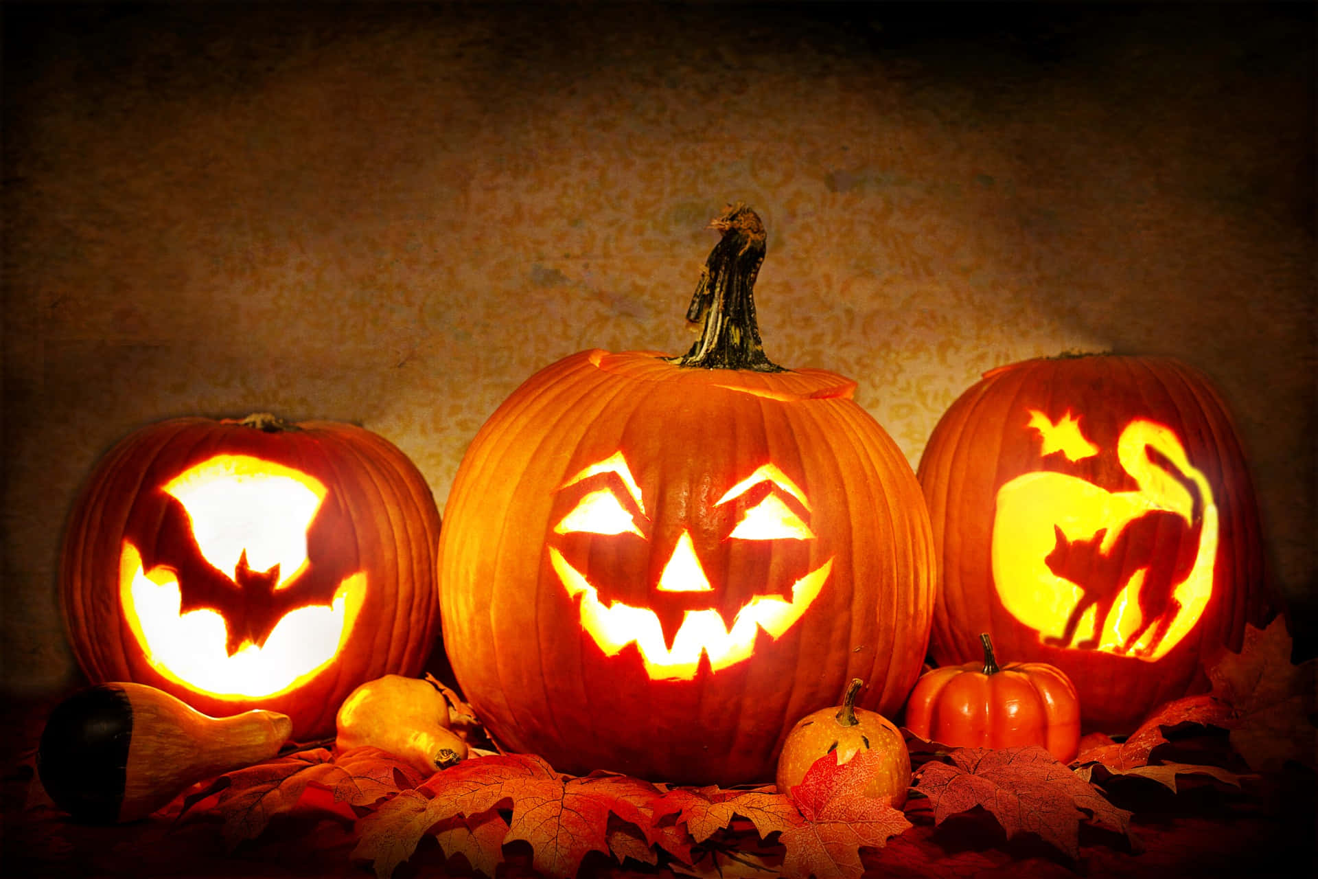 Jack O Lantern 桌布 壁紙 — 三個發光的傑克南瓜燈，帶有蝙蝠、貓和咧嘴笑的面孔，坐在秋葉中，背景是紋理牆壁。