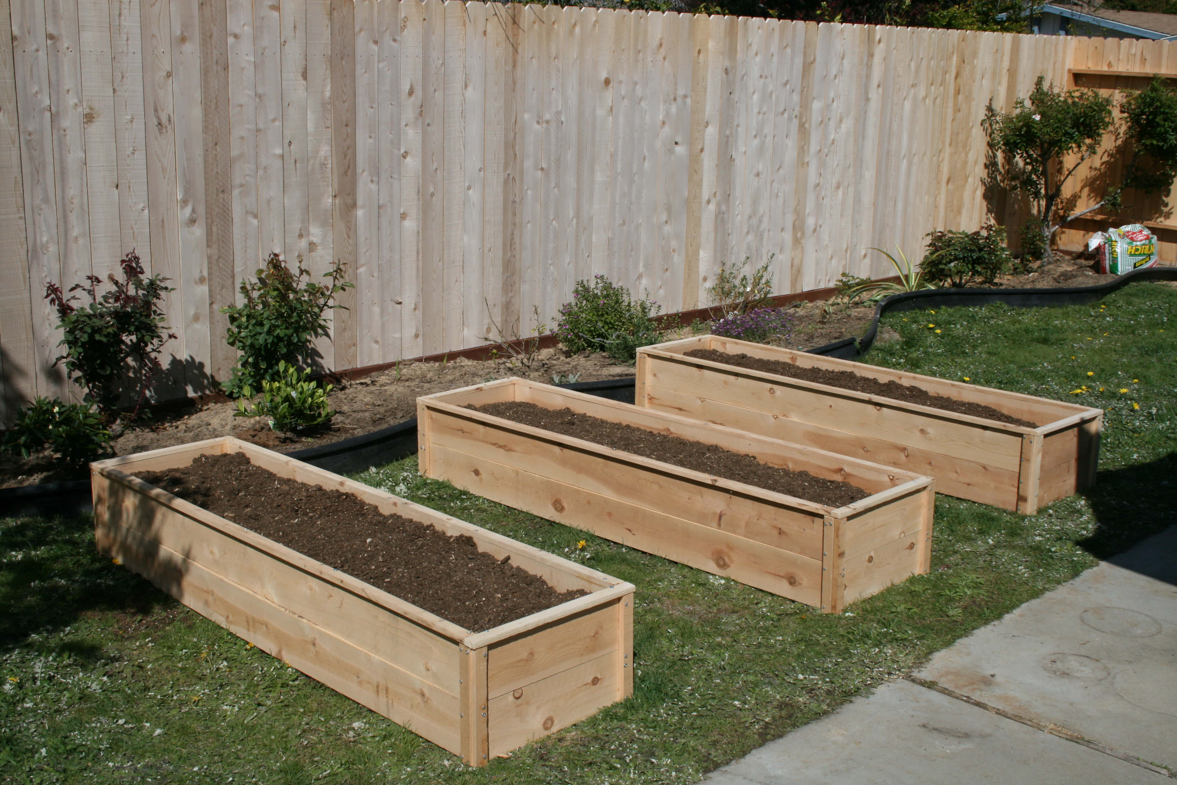 Garden Bed 桌布 壁紙 — 三個空的木製高架花床放在籬笆旁邊的草地上，光線充足。