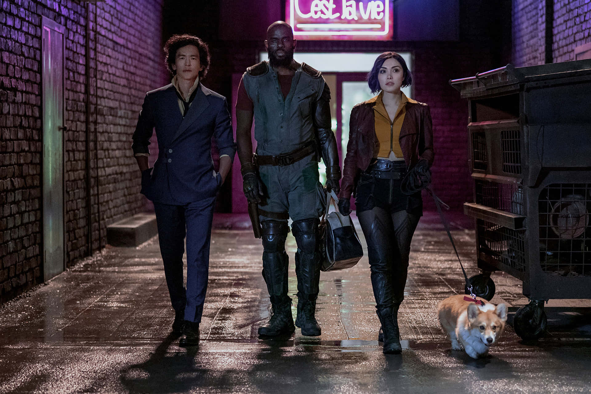 Cowboy Bebop Ein 桌布 壁紙 — 三個穿著時尚的人和一隻柯基犬在夜晚自信地走在一條被霓虹燈照亮的濕漉漉的小巷中。