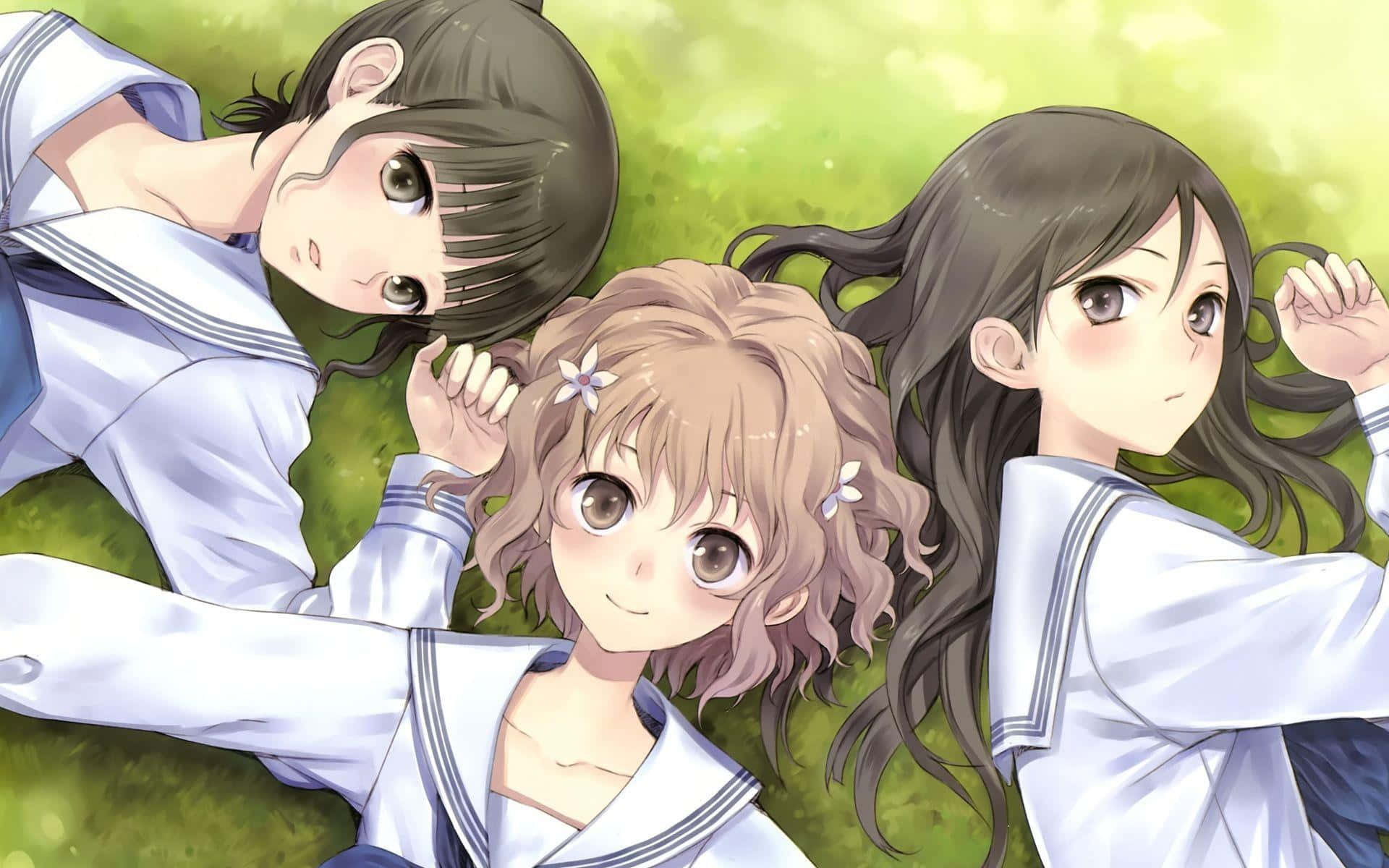 Friends 桌布 壁紙 — 三個穿著水手服的動畫女孩躺在草地上微笑，柔和的陽光穿過樹木灑落。