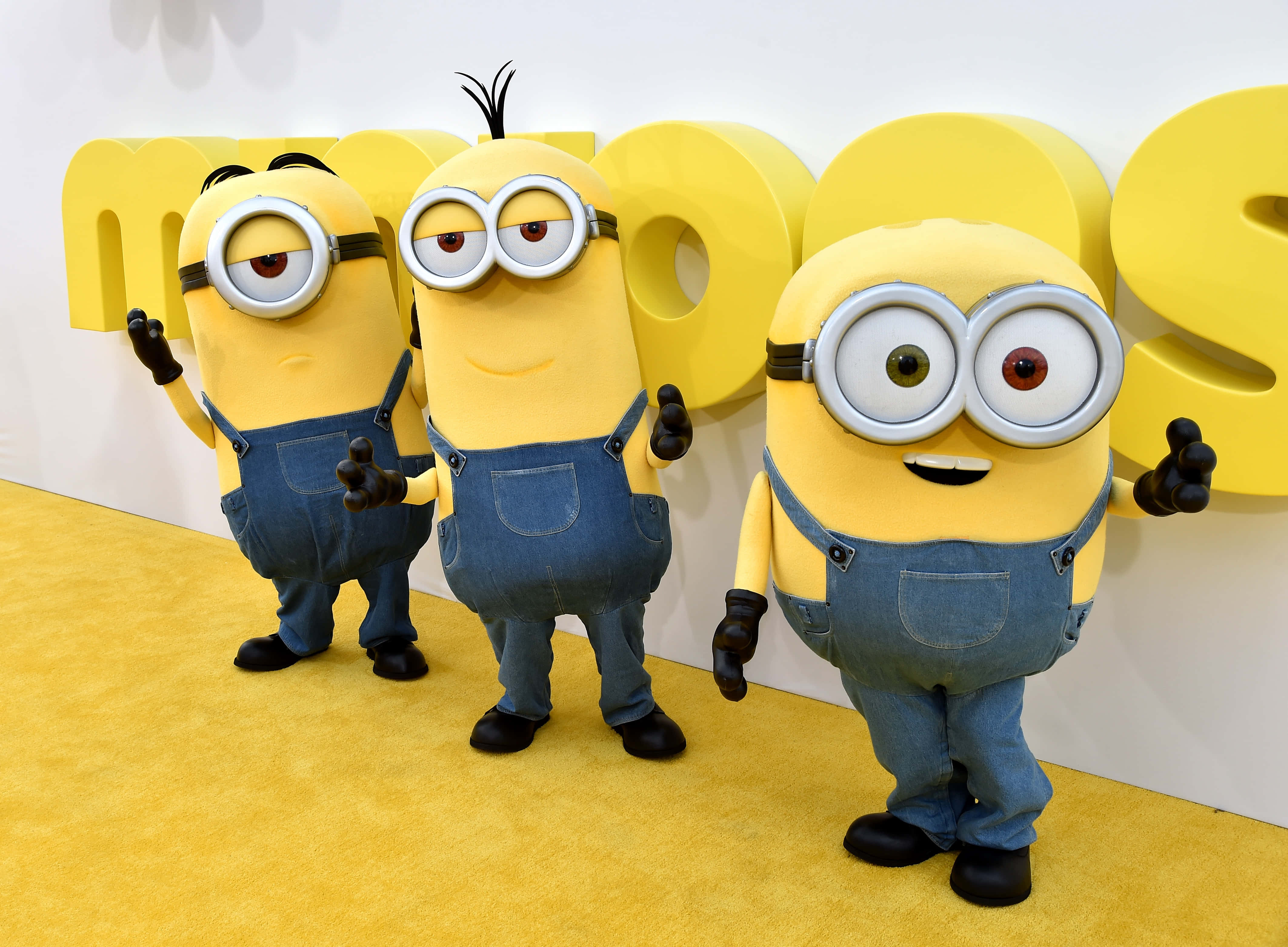 小黃人 桌布 壁紙 — 三個穿著藍色工裝褲的開心黃色Minions在黃色地毯上，在巨大的黃色'MINIONS'標誌前快樂地擺姿勢。
