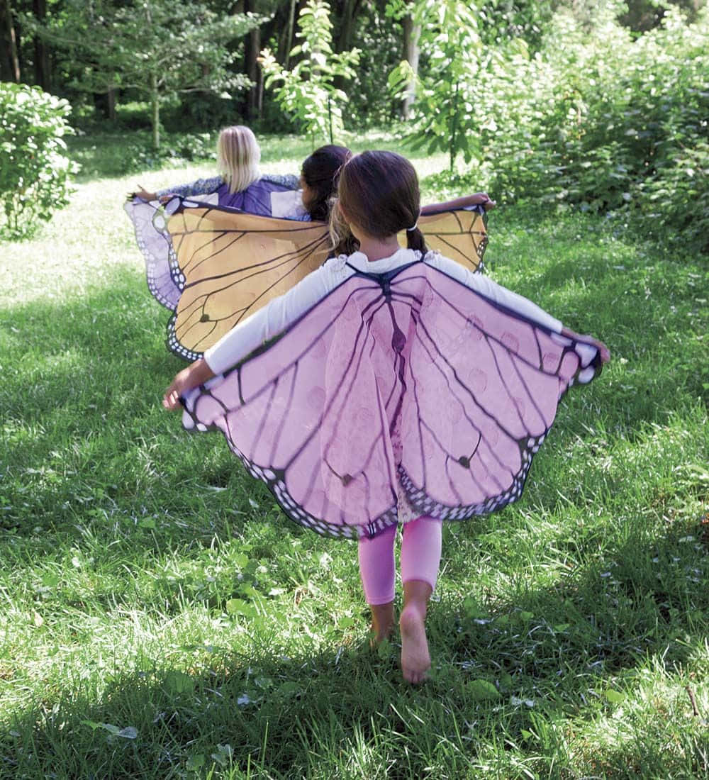 Butterfly Wing Dress 桌布 壁紙 — 三個穿著蝴蝶服裝的孩子赤腳走過陽光普照的草地，置身於茂密的綠色森林中。