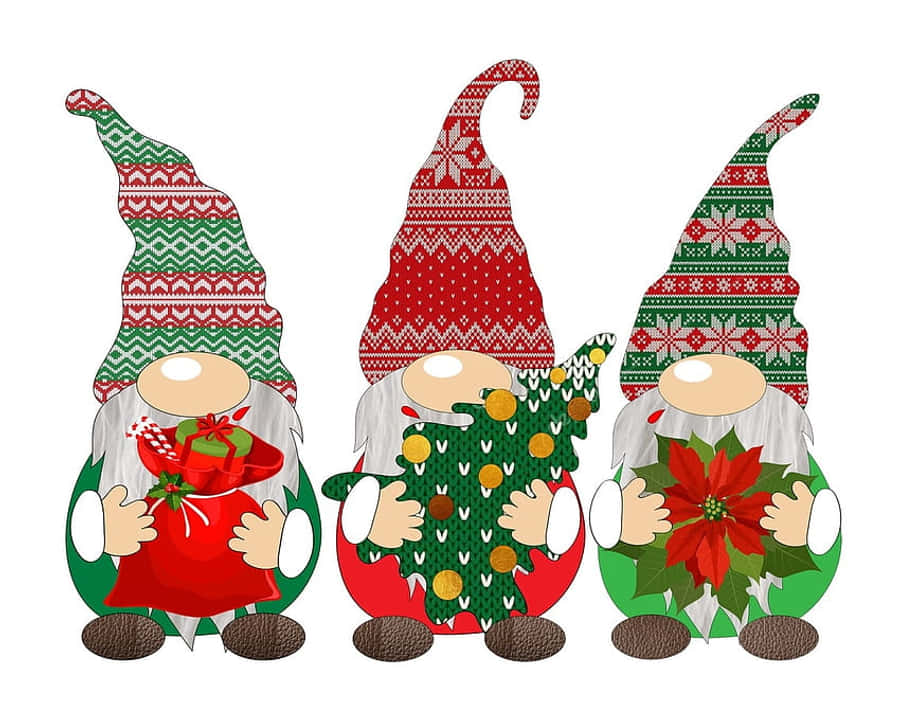 Christmas Gnome 桌布 壁紙 — 三個節日小精靈戴著紅綠圖案帽子，在白色背景前拿著禮物、聖誕樹和聖誕紅。