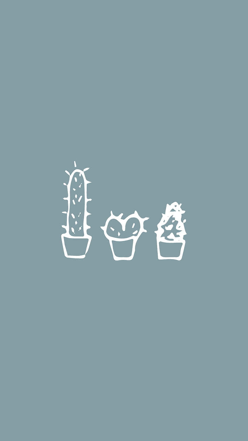 Plant 桌布 壁紙 — 三個簡約白色線條畫的盆栽仙人掌，背景為柔和青綠色。