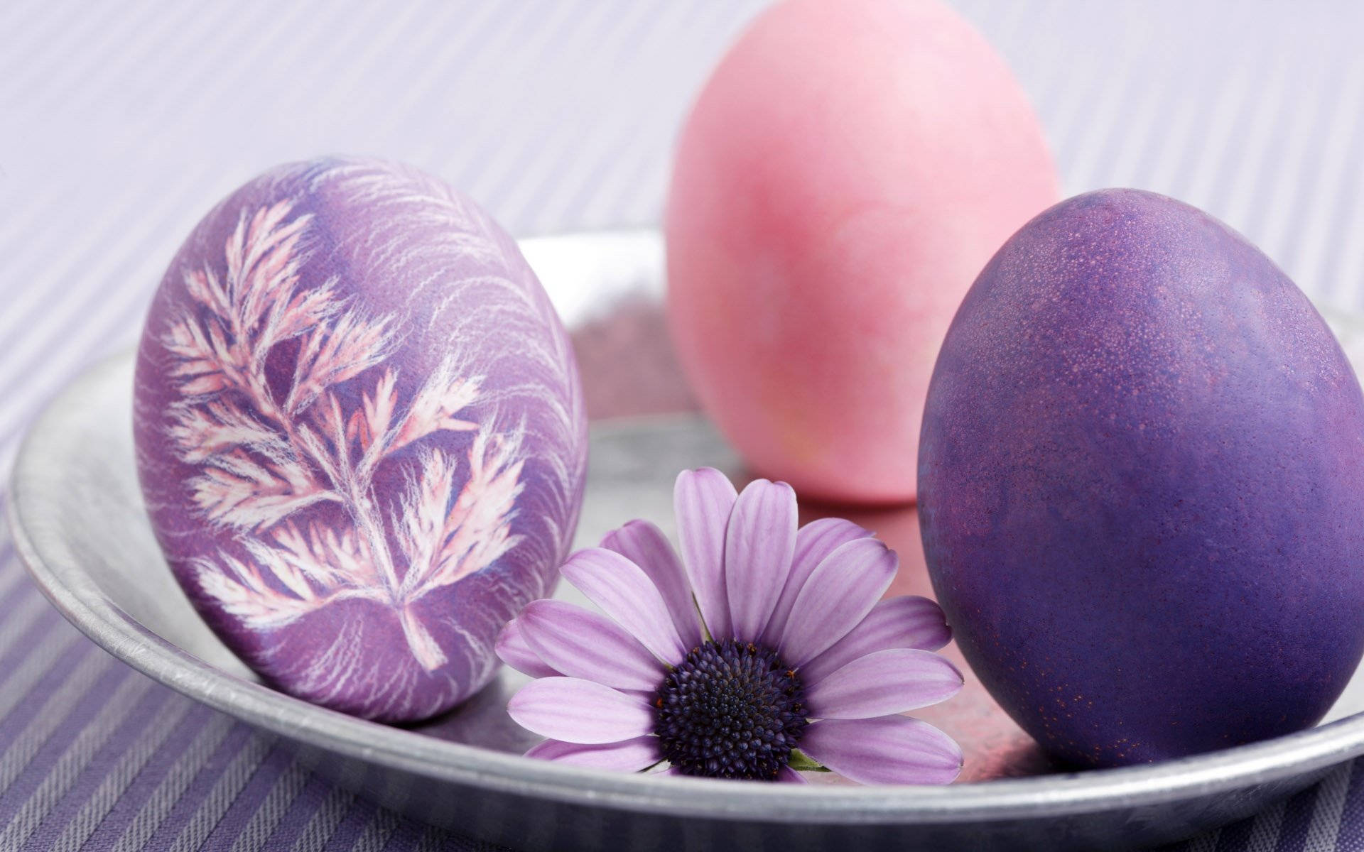 Easter 桌布 壁紙 — 三個粉彩復活節蛋和一朵紫色雛菊放在條紋布上的銀盤中。