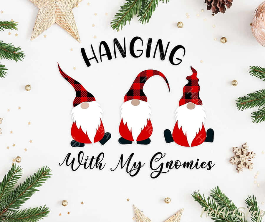 Christmas Gnome 桌布 壁紙 — 三個紅格紋白鬍鬚地精坐在「Hanging With My Gnomies」文字下方，周圍環繞著松樹枝和金色星星。
