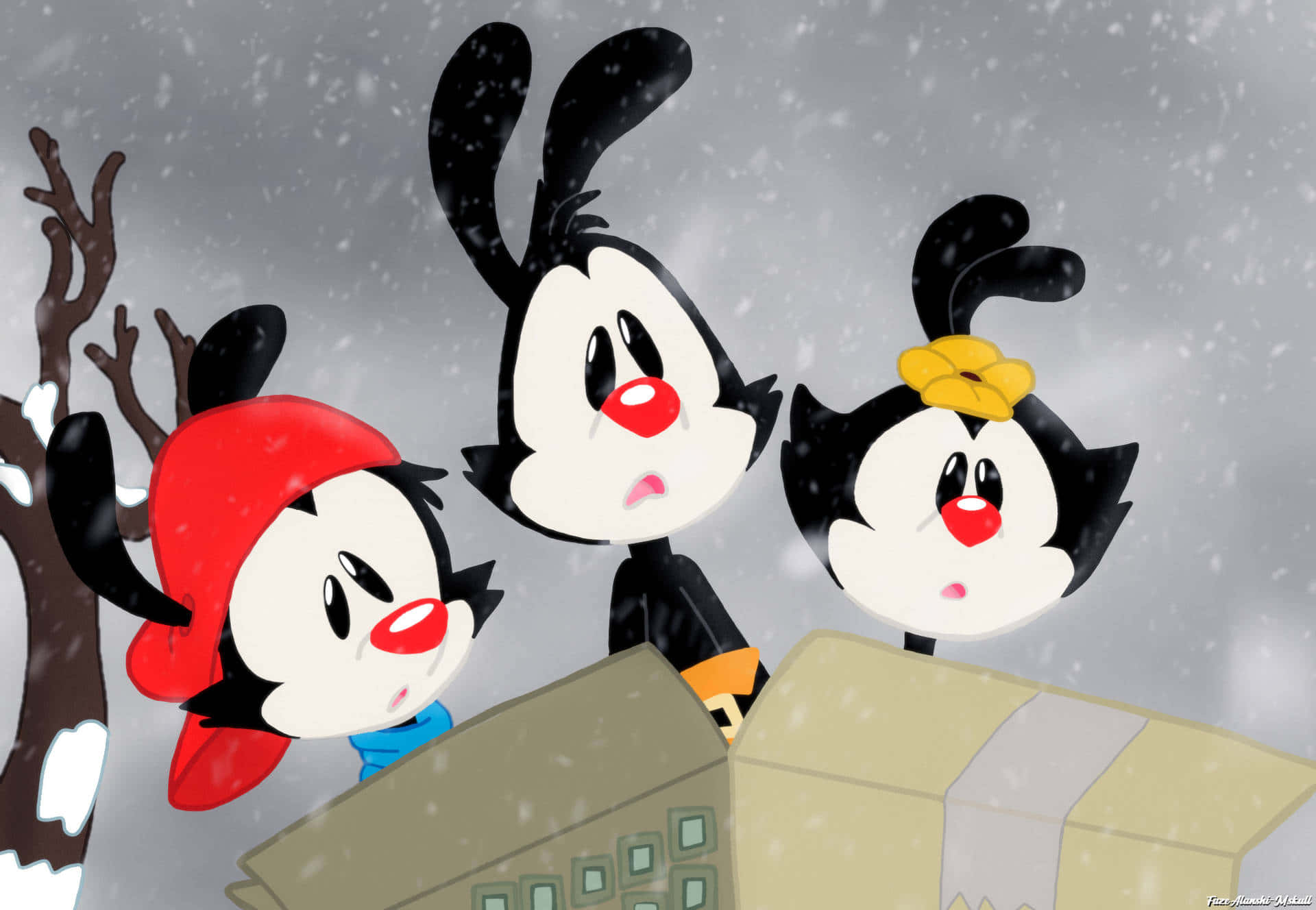 Animaniacs 桌布 壁紙 — 三個紅鼻黑耳的卡通角色在下雪時從盒子後面探出頭來。