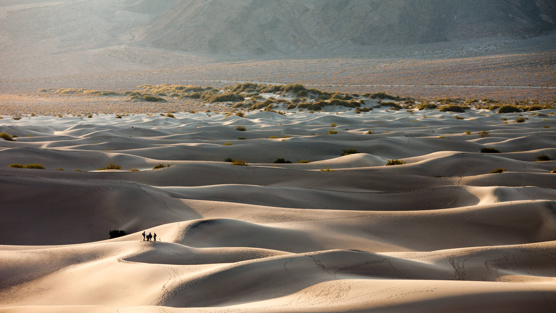 Desert 桌布 壁紙 — 三個細小的人影在廣闊的沙漠天空下，穿越無盡的金色沙丘，遠方有山脈。