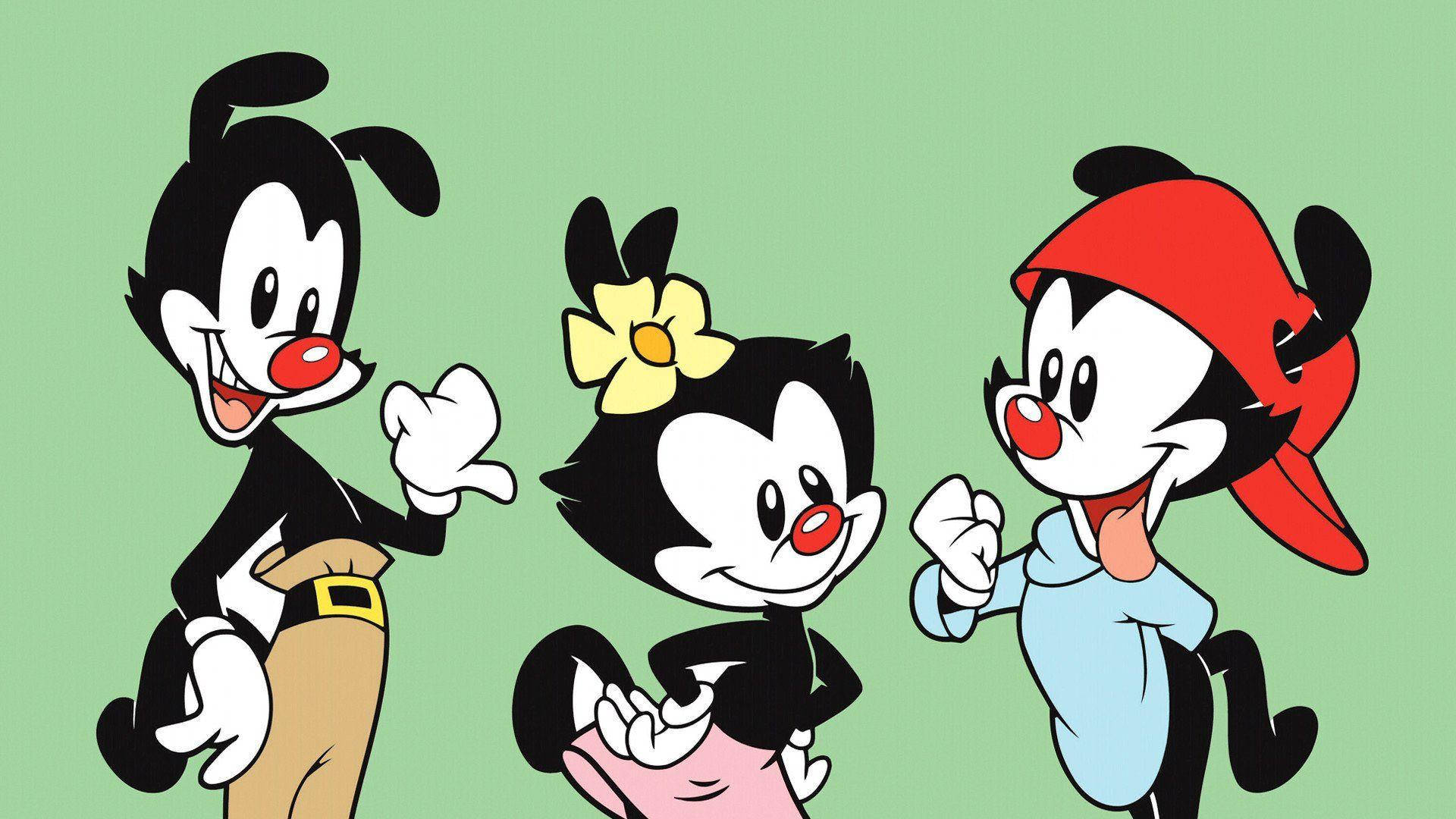 Animaniacs 桌布 壁紙 — 三個經典卡通角色，紅鼻子和黑白毛髮，在純綠色背景前愉快地擺姿勢。