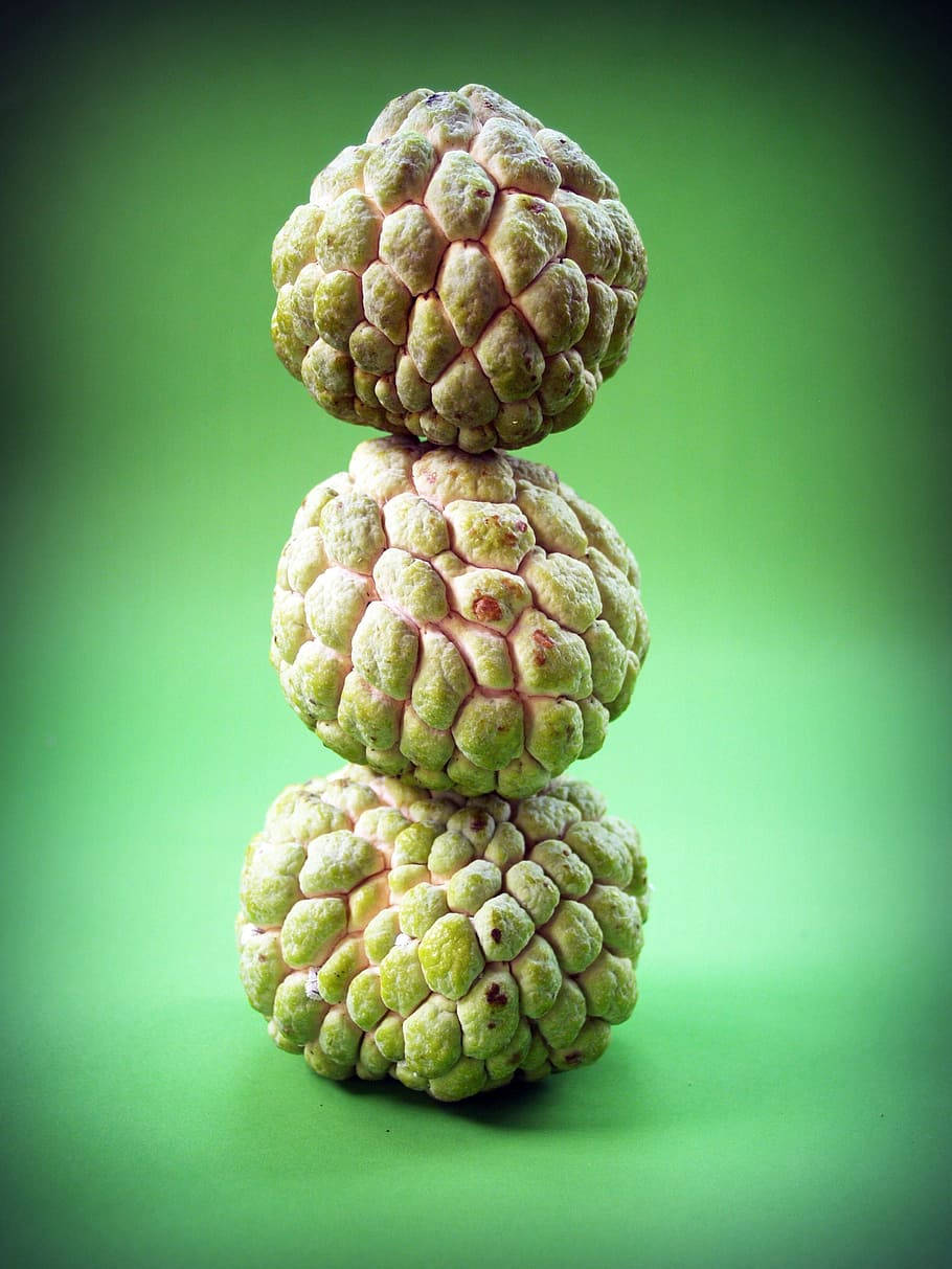 Fruit 桌布 壁紙 — 三個綠色牛油果垂直堆疊在柔和的綠色漸變背景上。