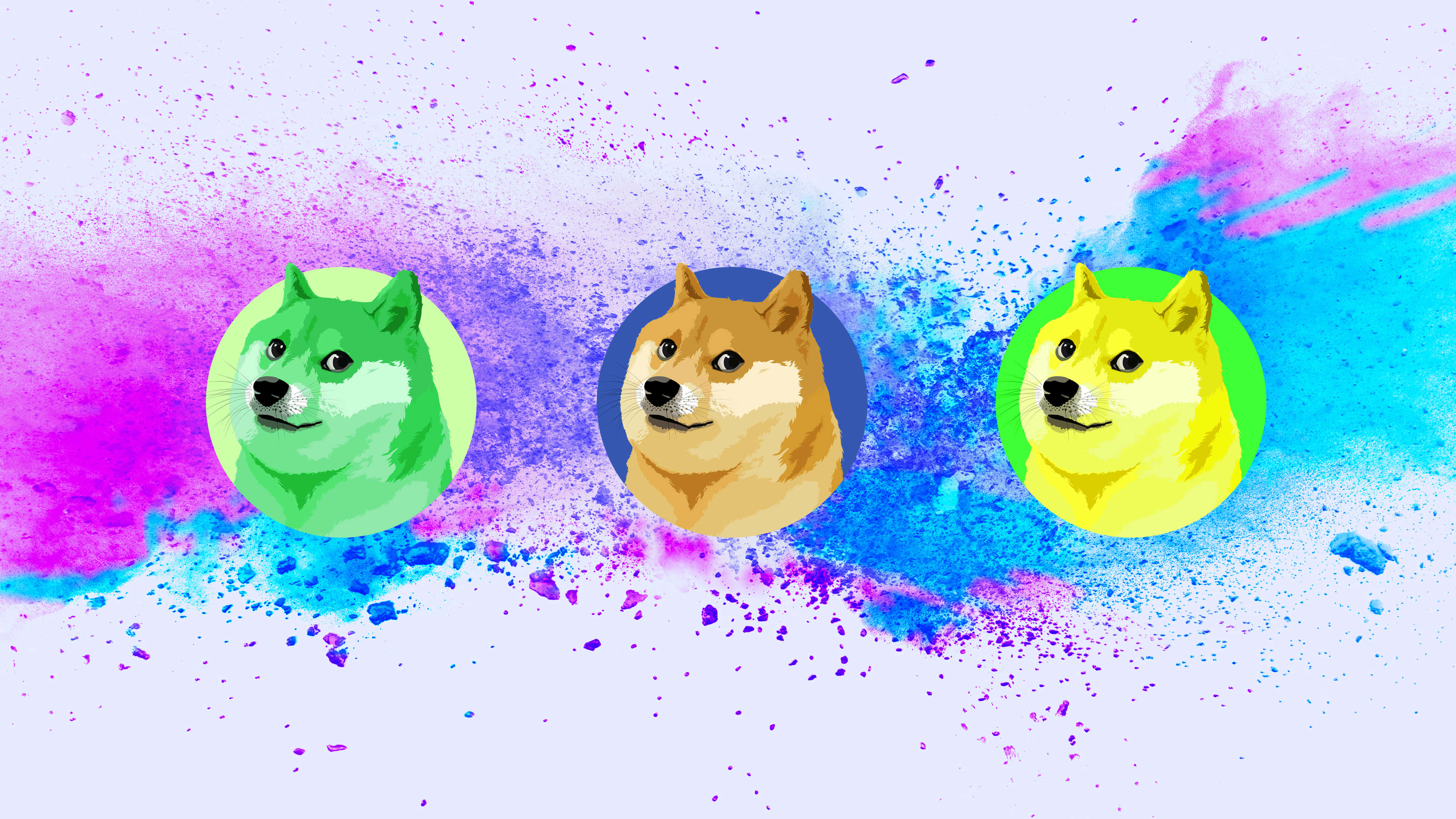 狗 桌布 壁紙 — 三個色彩繽紛的Doge面孔在圓形框架中，從紫色、藍色和粉紅色的鮮豔水彩潑濺中迸發出來。
