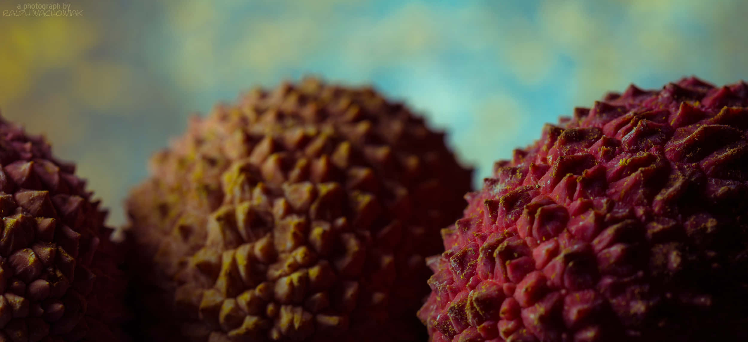 Fruits 桌布 壁紙 — 三個荔枝的特寫，帶有紋理的紅棕色外皮，背景是柔和模糊的藍綠色和黃色。