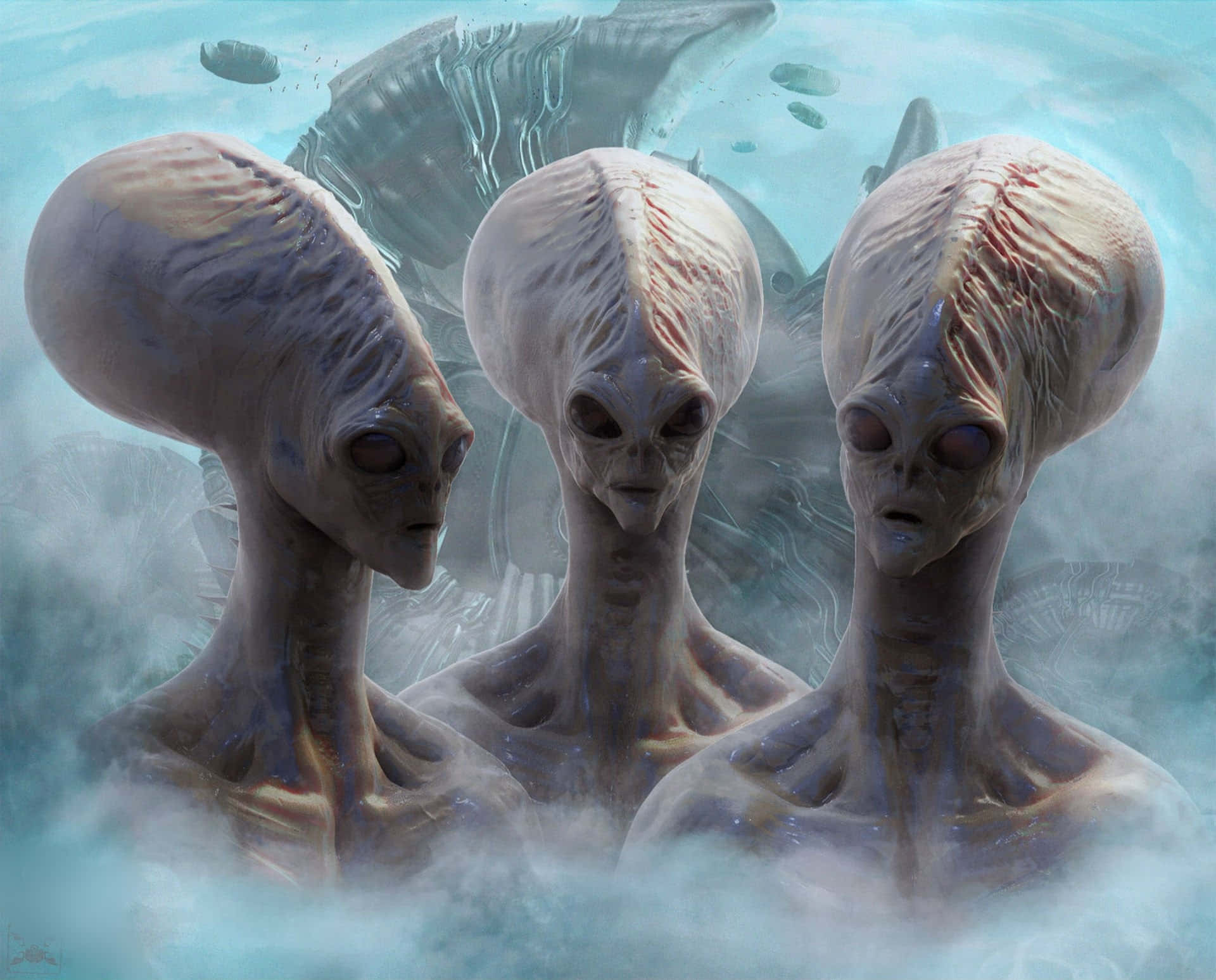Scary Space 桌布 壁紙 — 三個蒼白的外星人頭顱，長著大眼睛，從沉船附近霧氣瀰漫的藍色海水中浮現。
