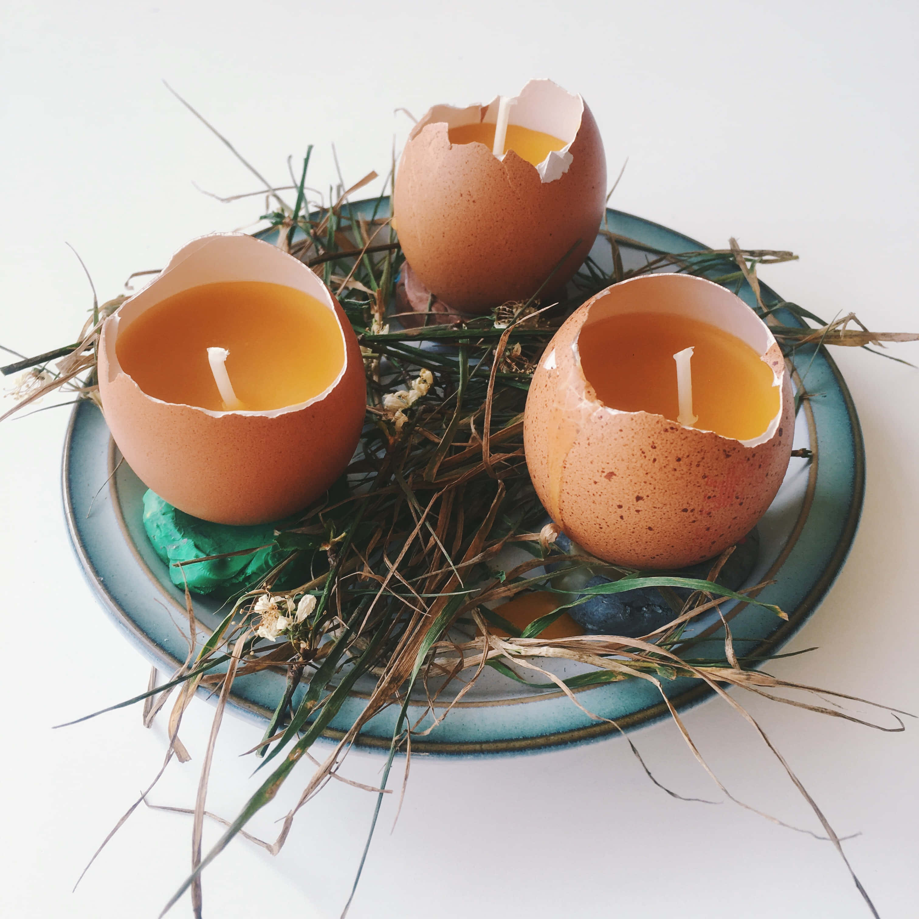 Eggshell 桌布 壁紙 — 三個蛋殼蠟燭藏在藍色盤子上的草叢中，柔和自然光線。