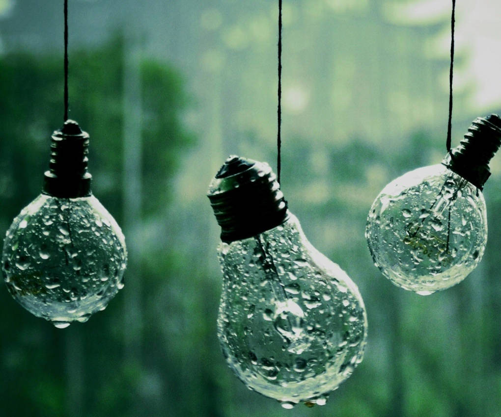 淺綠色系 桌布 壁紙 — 三個被雨水浸透的玻璃燈泡懸掛在模糊的綠色森林背景前。