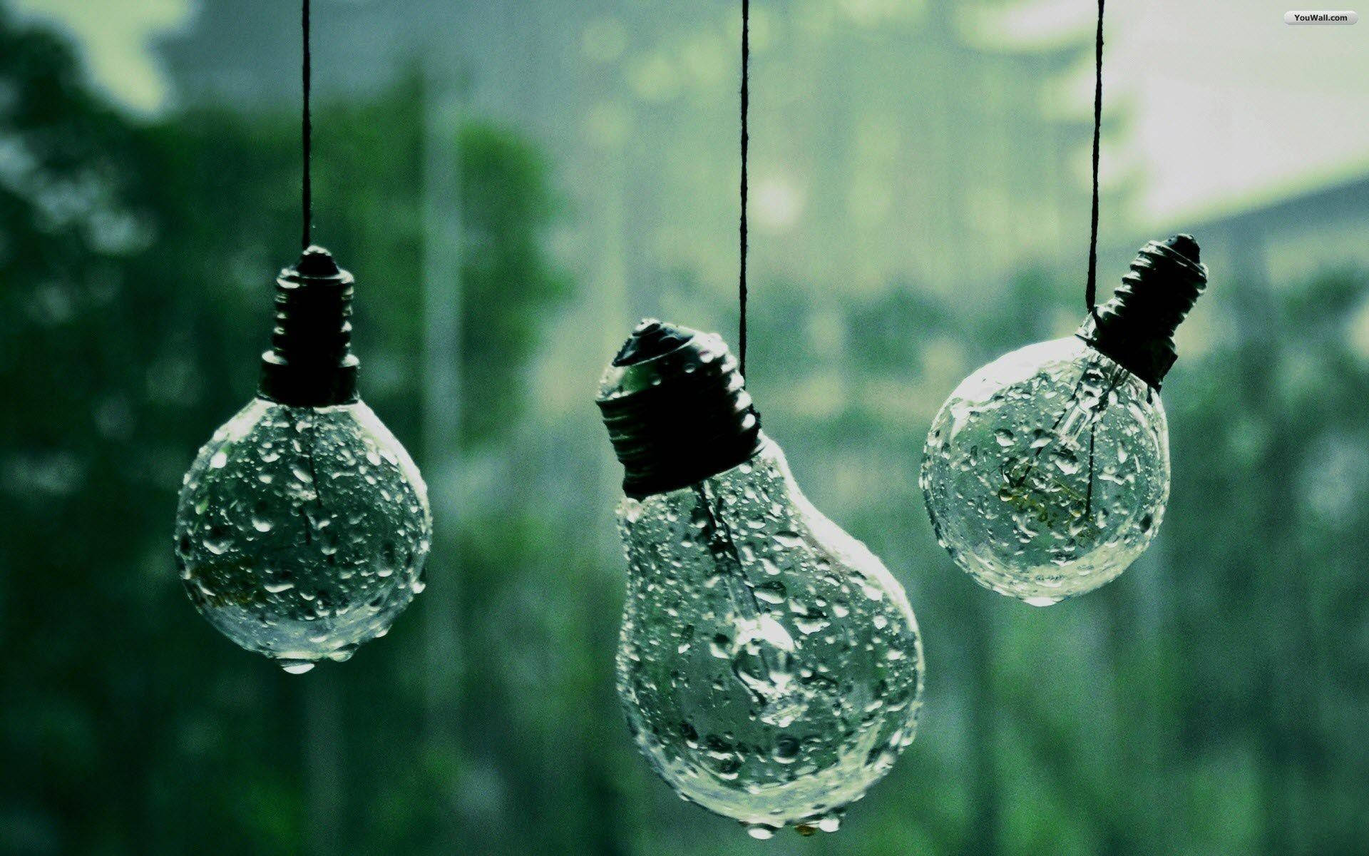 桌面 桌布 壁紙 — 三個被雨水浸透的玻璃燈泡懸掛在模糊的綠色森林背景前。