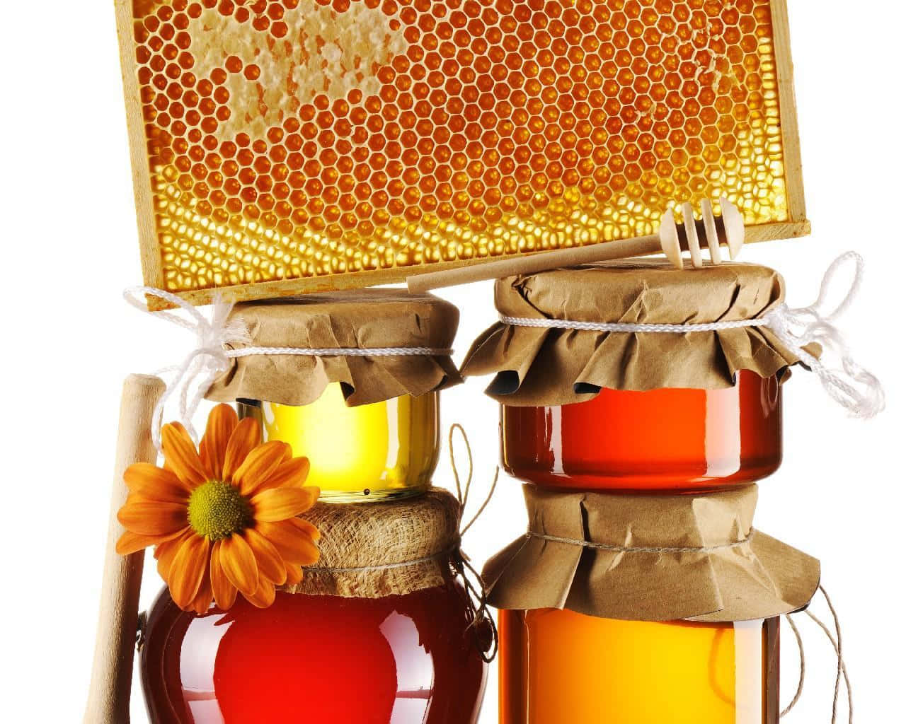 honey 桌布 壁紙 — 三個裝有不同深淺蜂蜜的玻璃罐放在蜂巢框架下，旁邊有一朵鮮豔的橙色花。