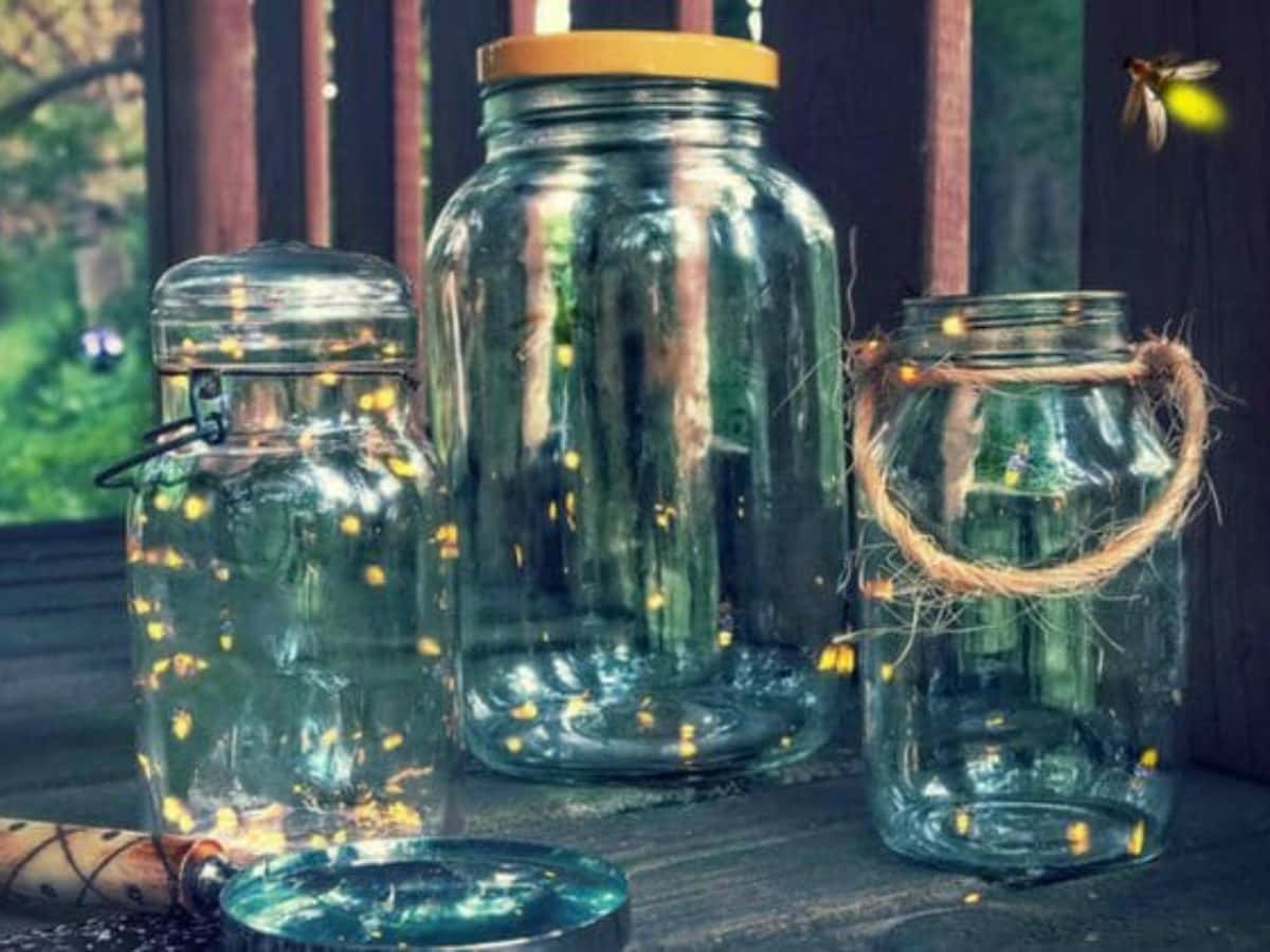 firefly 桌布 壁紙 — 三個裝滿發光螢火蟲的玻璃罐放在木質表面上，附近有一個放大鏡。