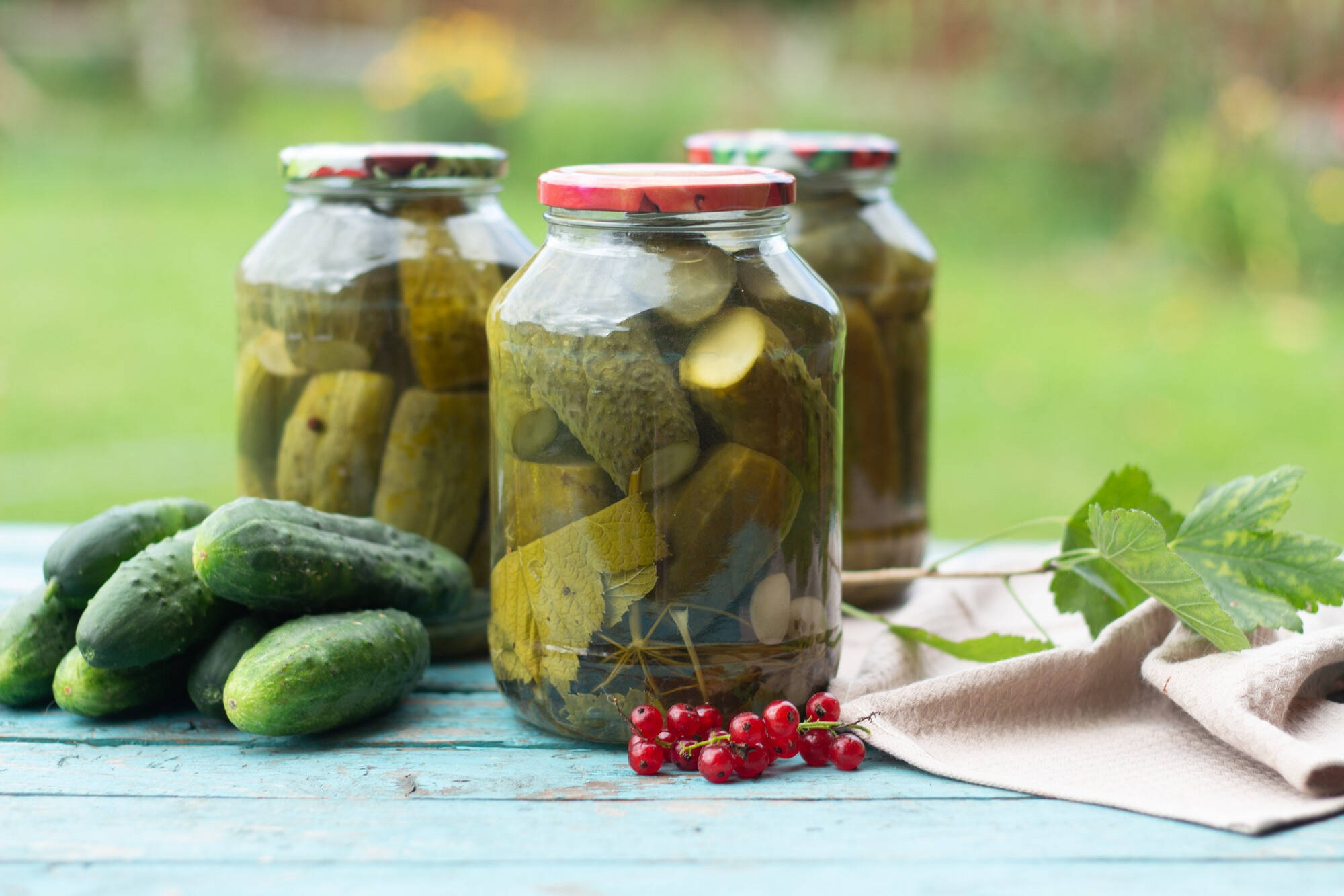 Pickle 桌布 壁紙 — 三個裝滿醃黃瓜的玻璃罐放在一張風化的藍色木桌上，旁邊有新鮮黃瓜、紅醋栗和綠葉。