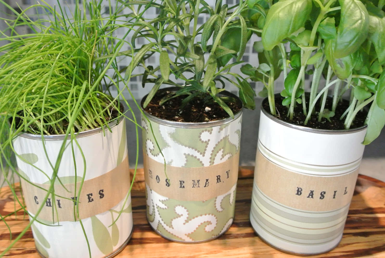 Herb Garden 桌布 壁紙 — 三個貼有標籤的錫罐被重新用作花盆，在木質表面上種植著充滿活力的綠色香草：細香蔥、迷迭香和羅勒。