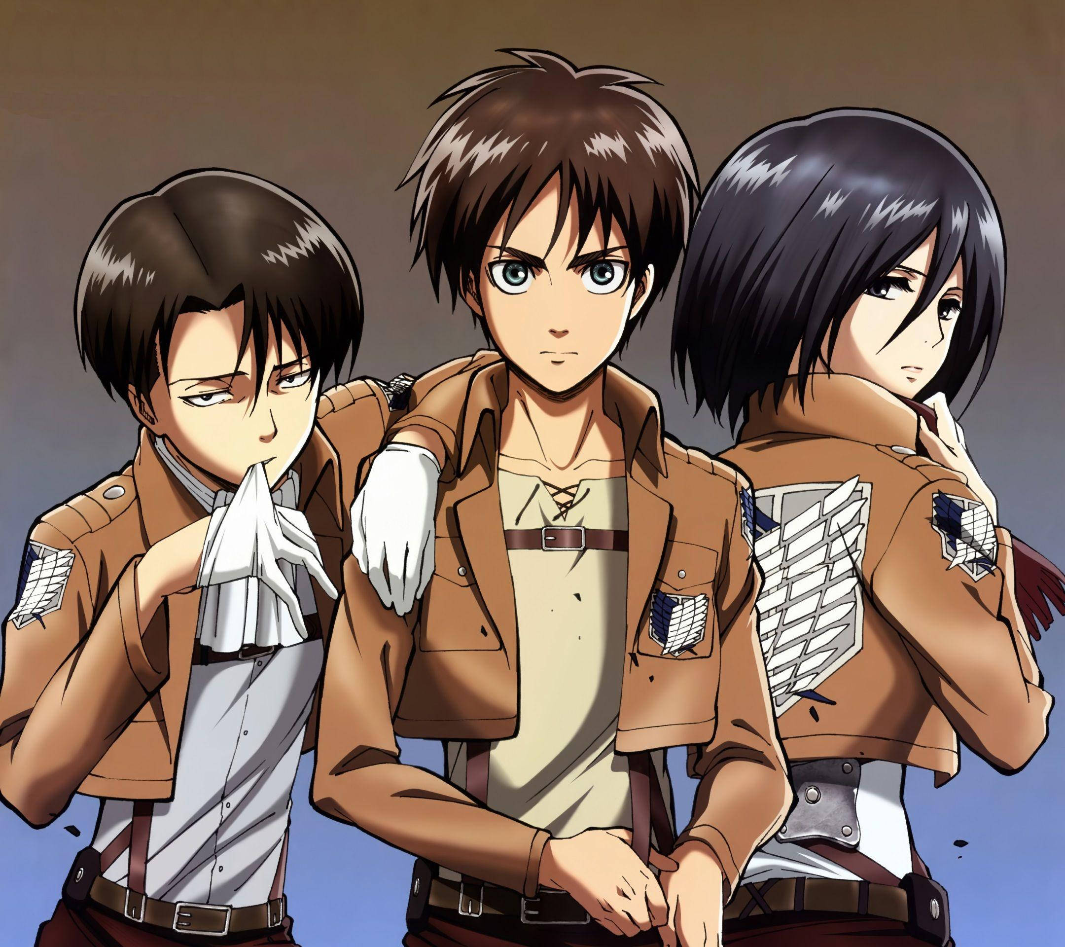 Mikasa 桌布 壁紙 — 三個身穿棕色軍裝的動漫角色，在漸變背景前嚴肅地站在一起。
