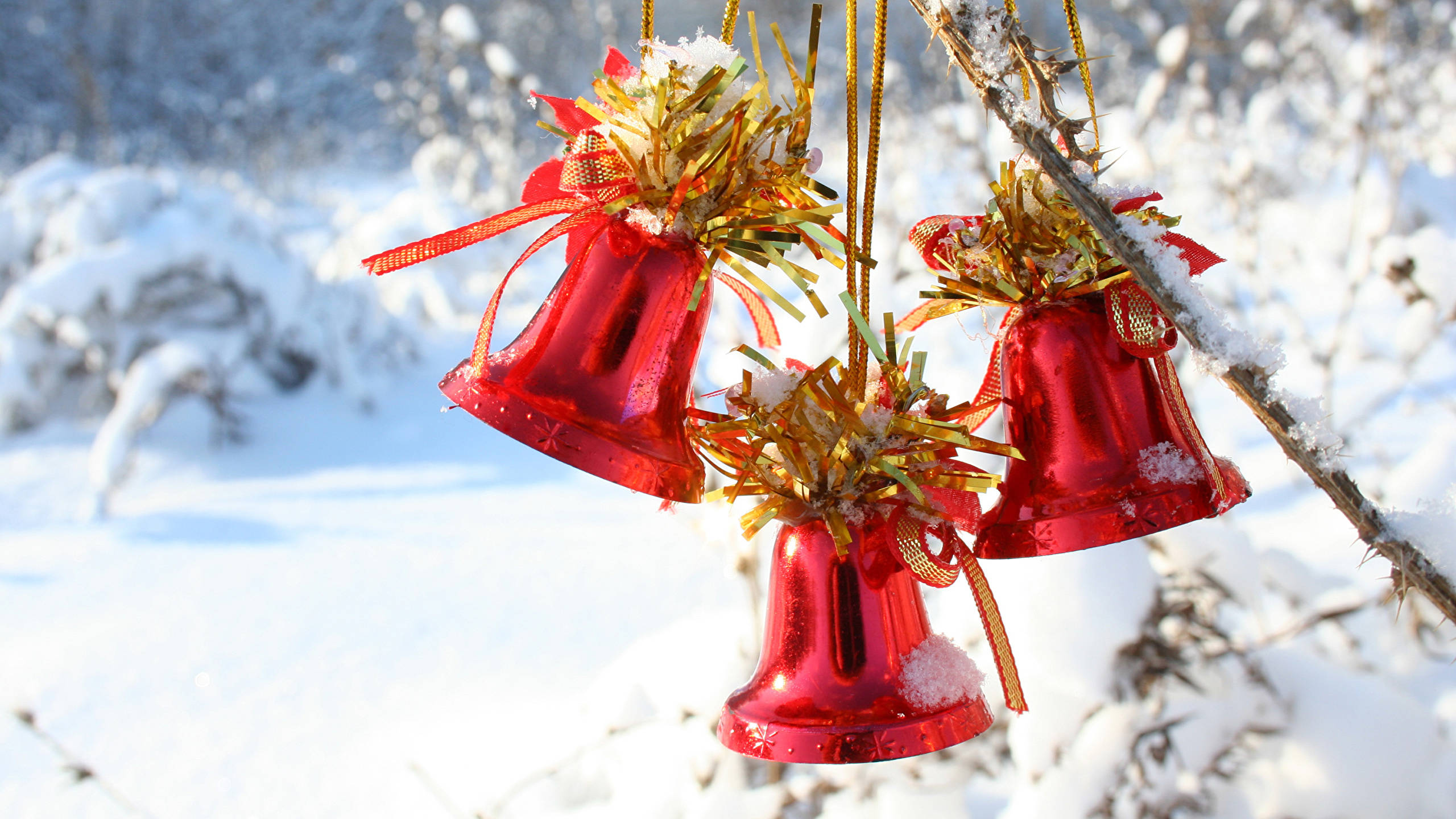 Christmas Bell 桌布 壁紙 — 三個閃亮的紅色聖誕鈴鐺，飾有金色亮片和絲帶，掛在灑滿雪的樹枝上，背景是明亮的雪白冬日景色。