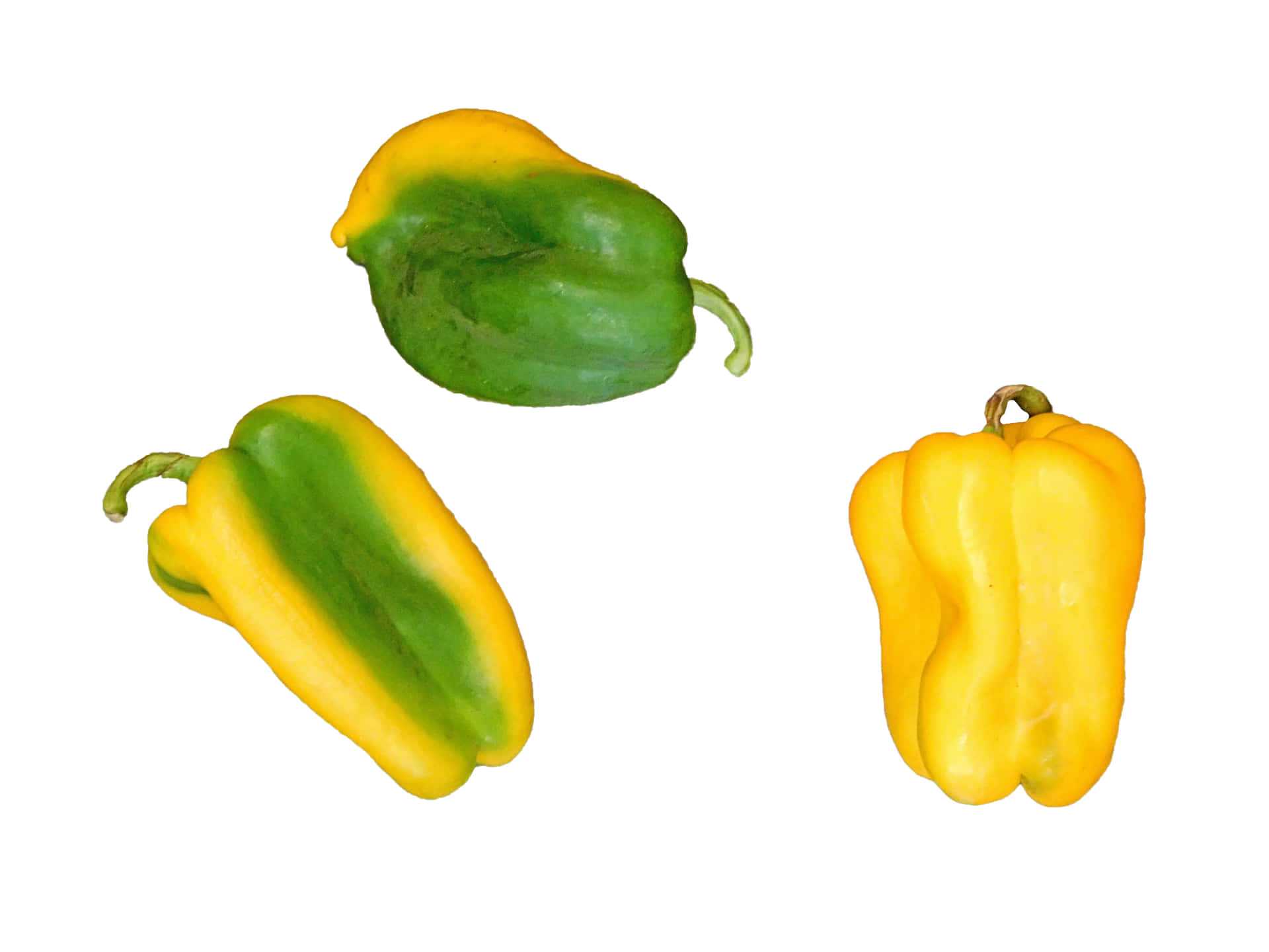 Peppers 壁紙 — 三個青椒和黃椒呈現不同深淺的綠色和黃色，在純白背景上漂浮。