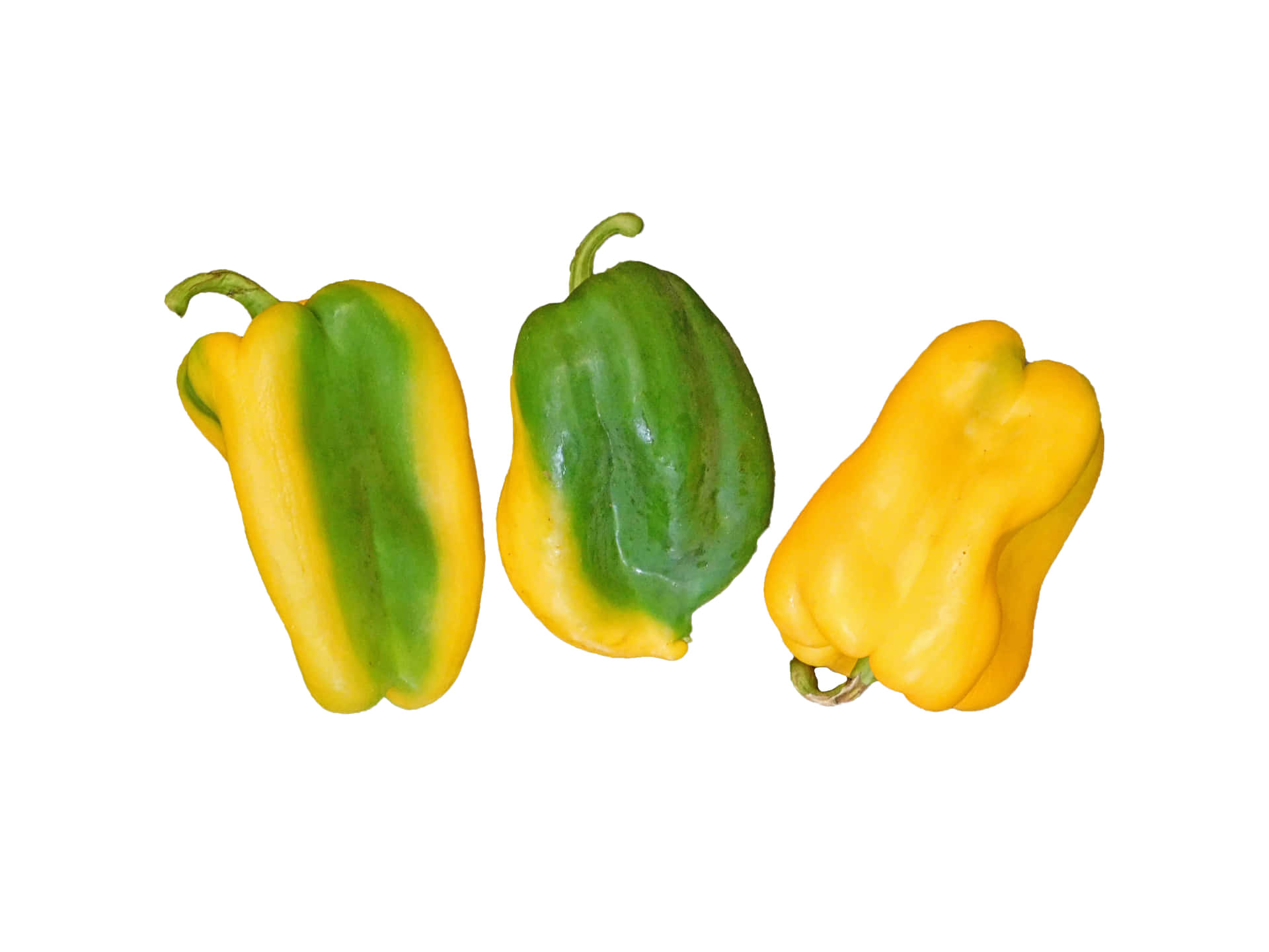 Peppers 壁紙 — 三個青椒和黃椒排列在純白色背景上。